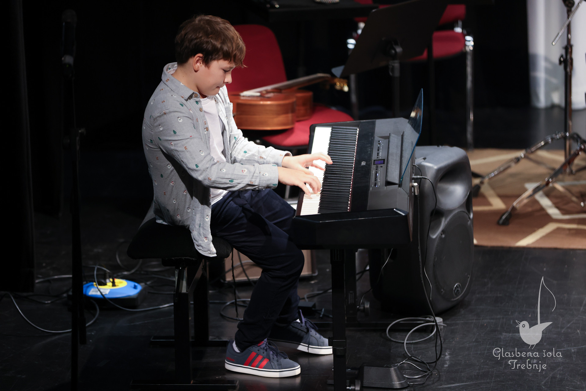 Prednovoletni koncert na Mirni