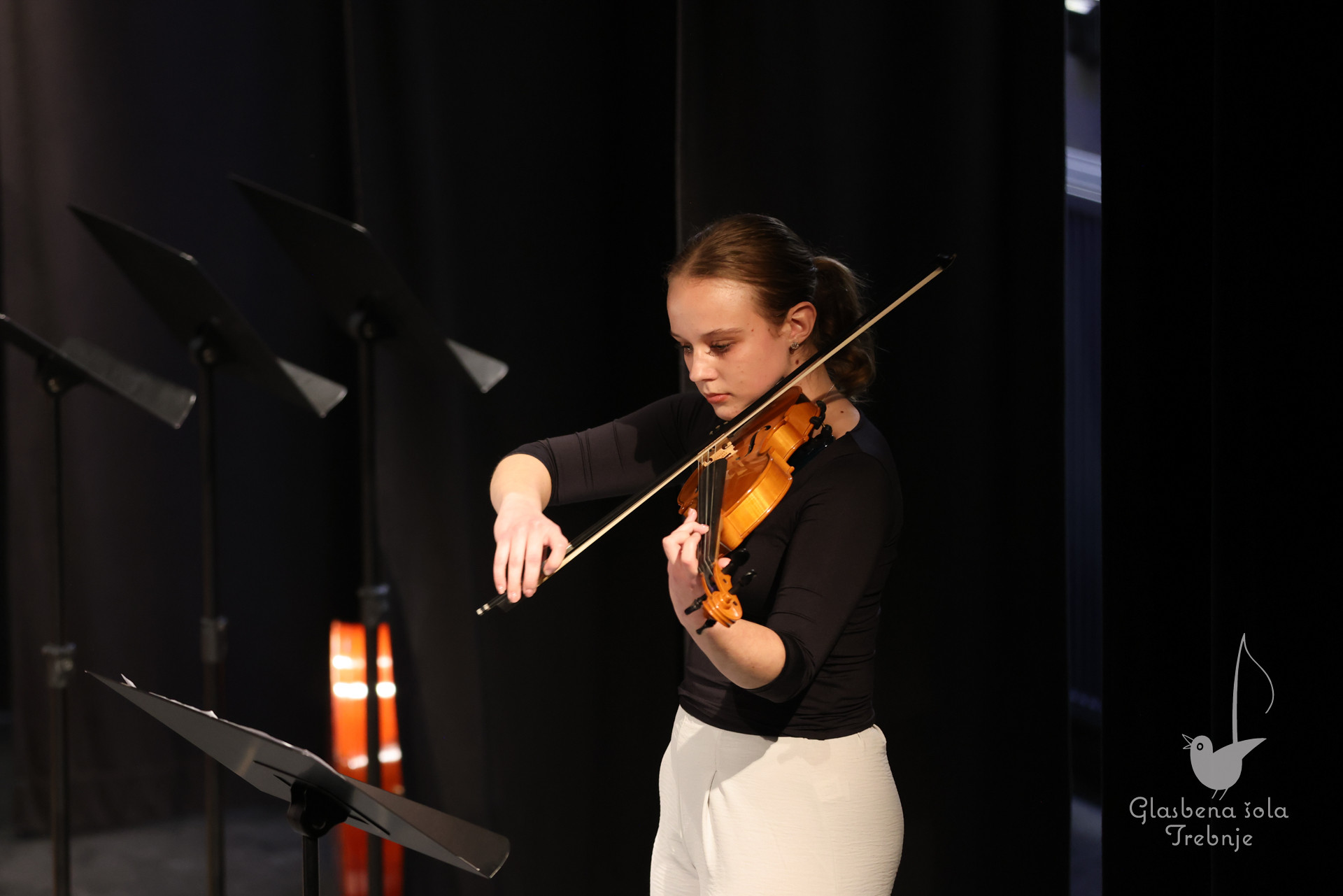 Prednovoletni koncert na Mirni