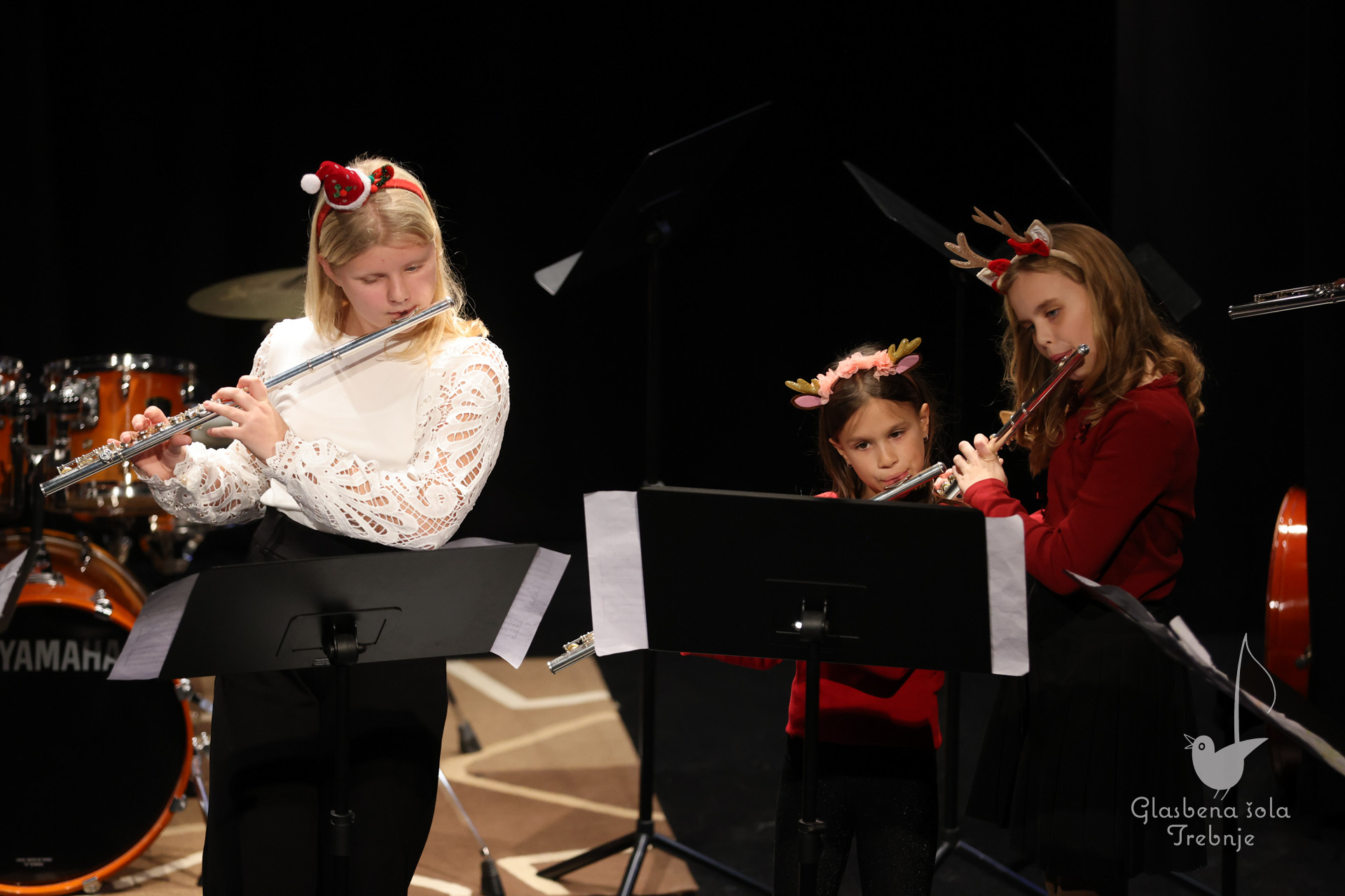 Prednovoletni koncert na Mirni