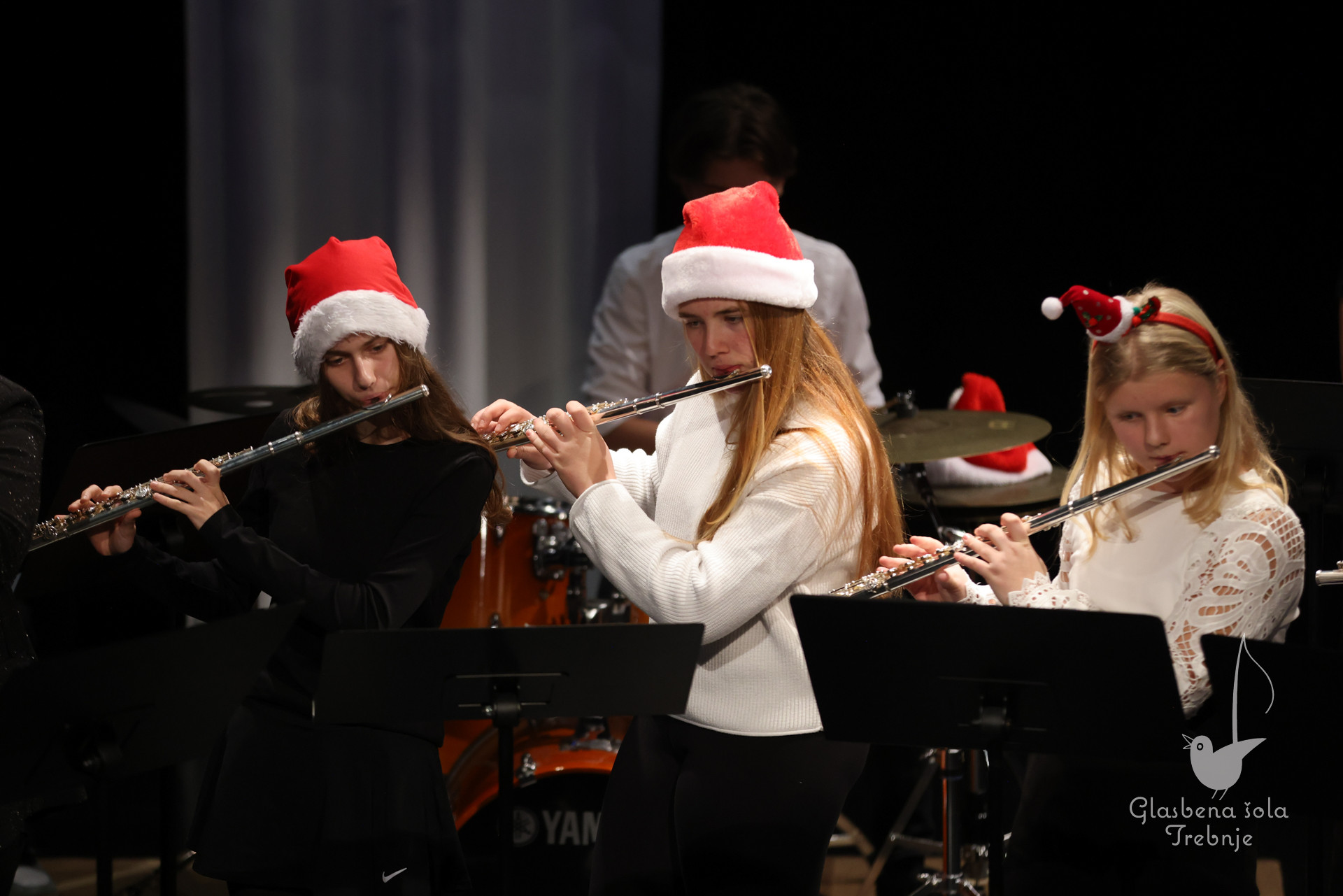 Prednovoletni koncert na Mirni