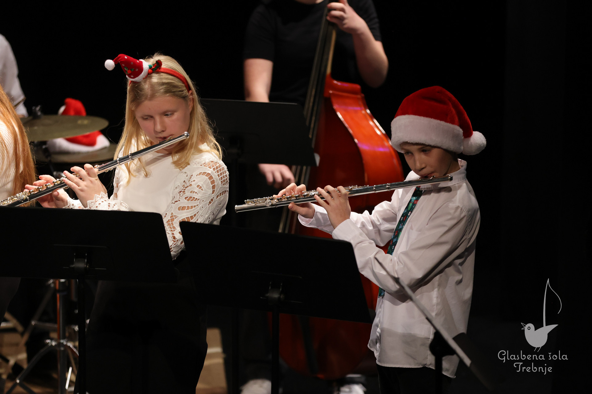 Prednovoletni koncert na Mirni