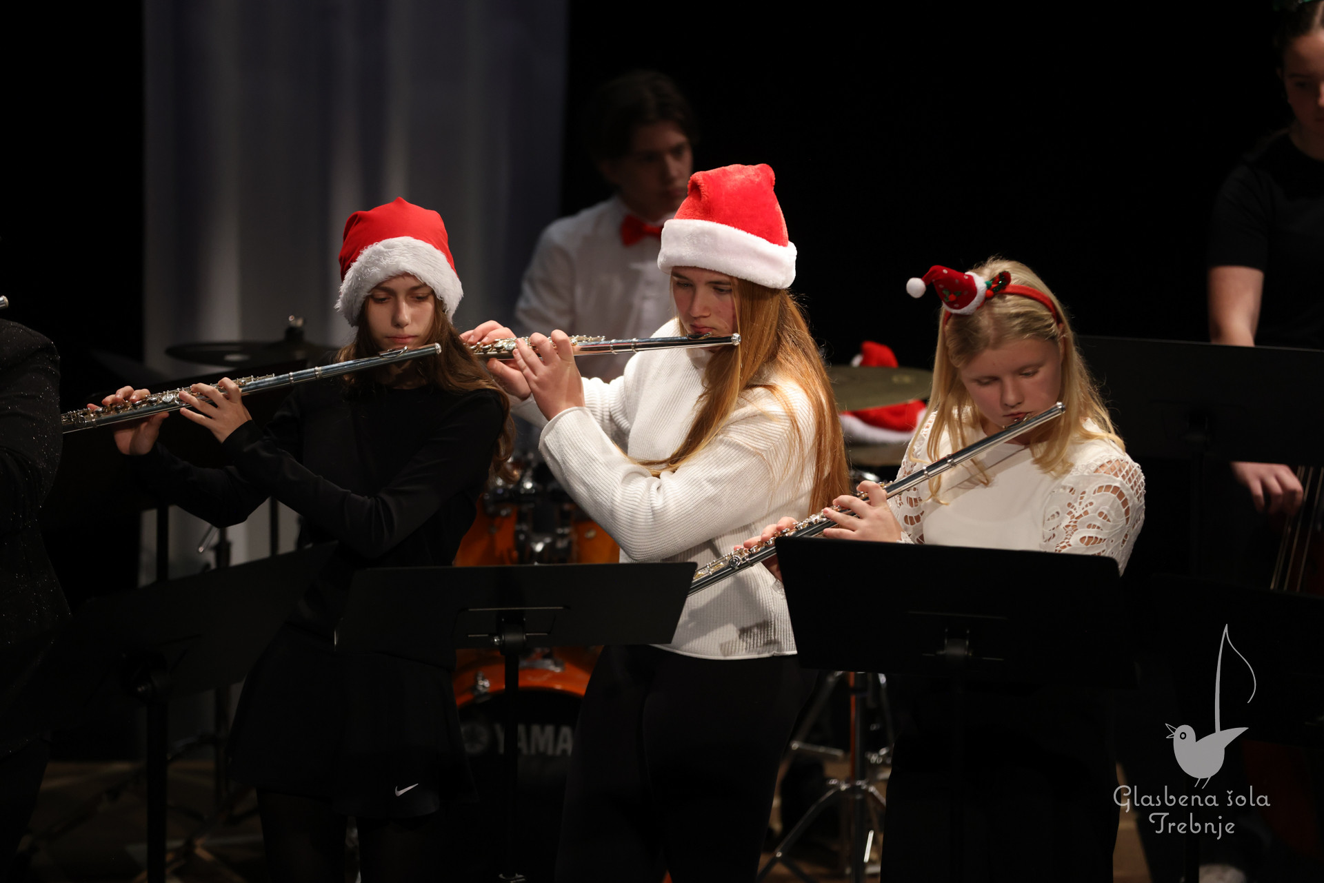 Prednovoletni koncert na Mirni