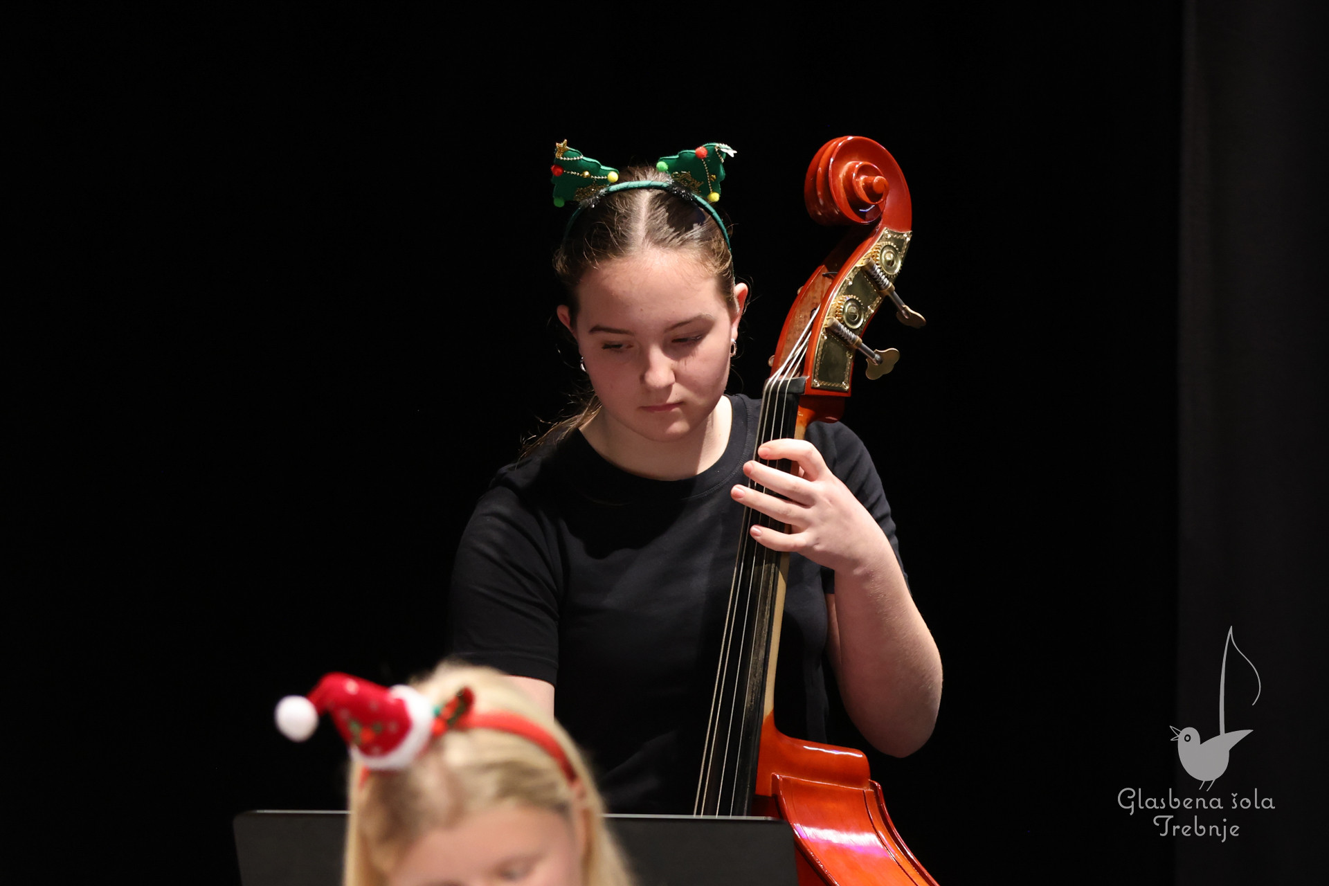 Prednovoletni koncert na Mirni