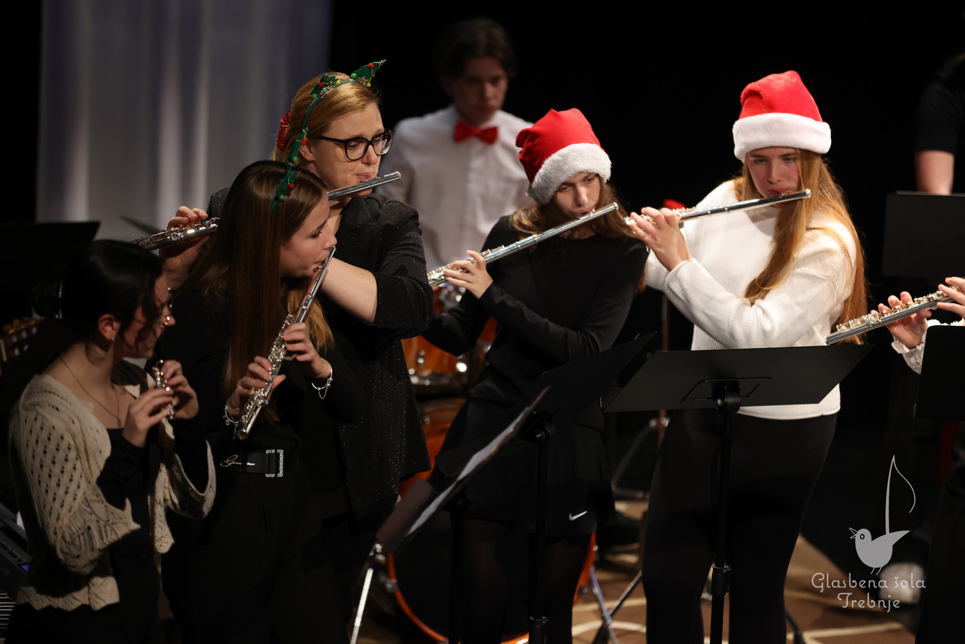 Prednovoletni koncert na Mirni