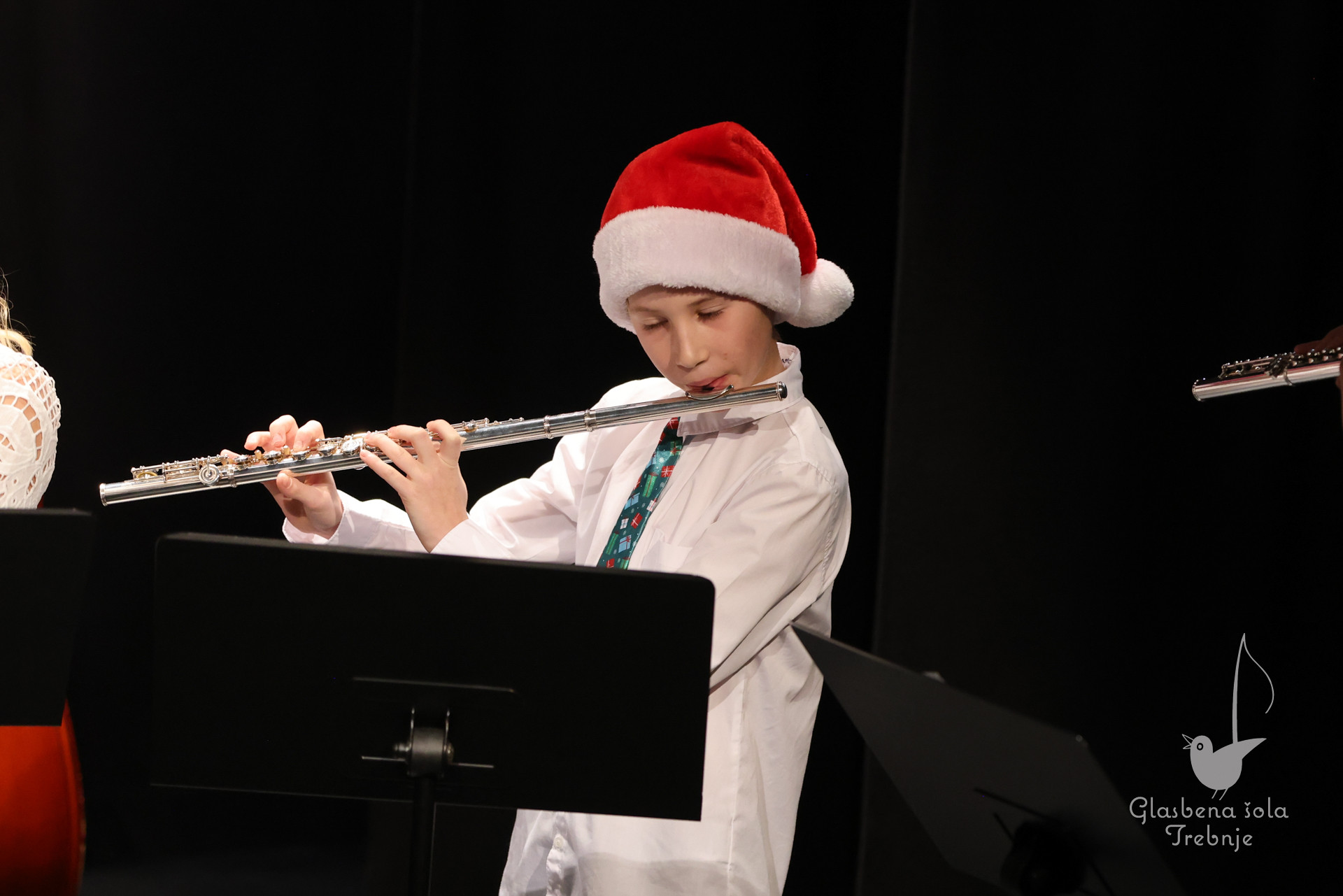 Prednovoletni koncert na Mirni