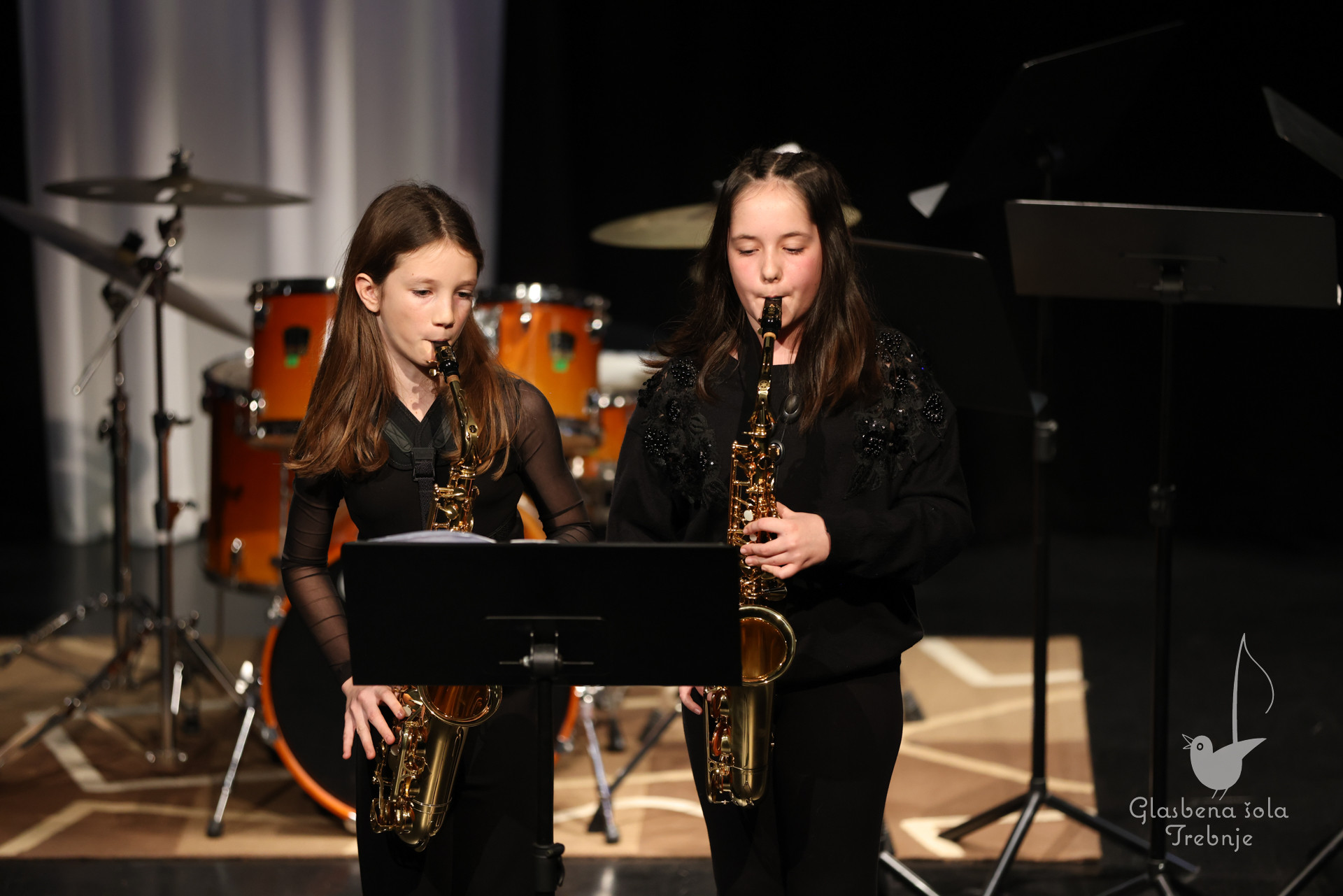 Prednovoletni koncert na Mirni