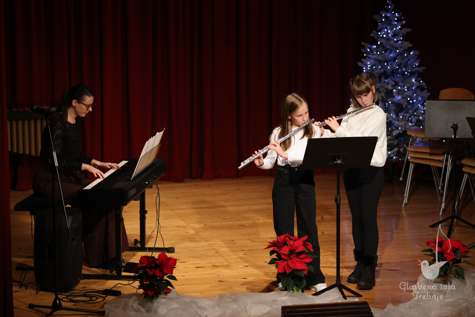 Prednovoletni koncert v Dobrniču