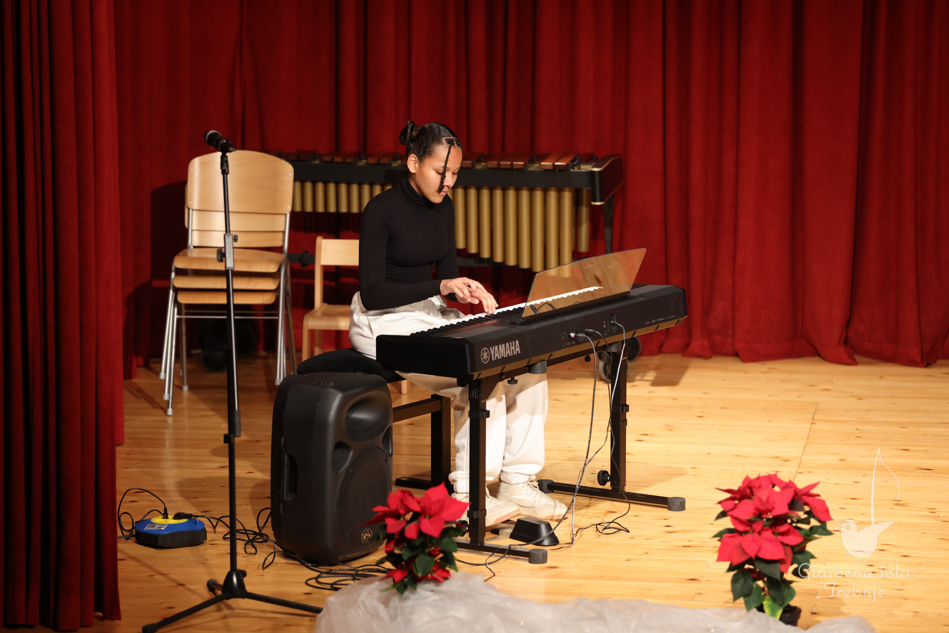 Prednovoletni koncert v Dobrniču