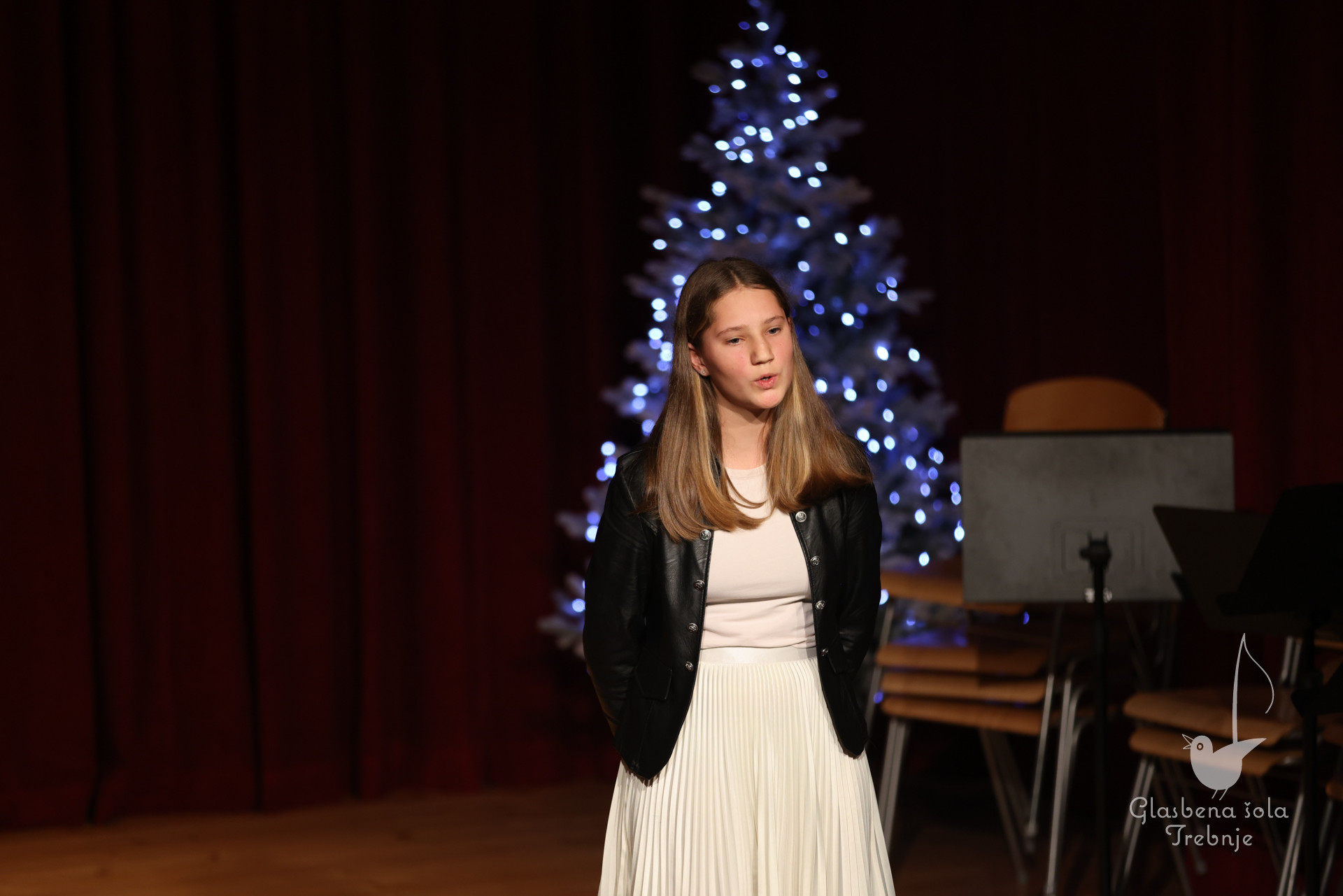 Prednovoletni koncert v Dobrniču