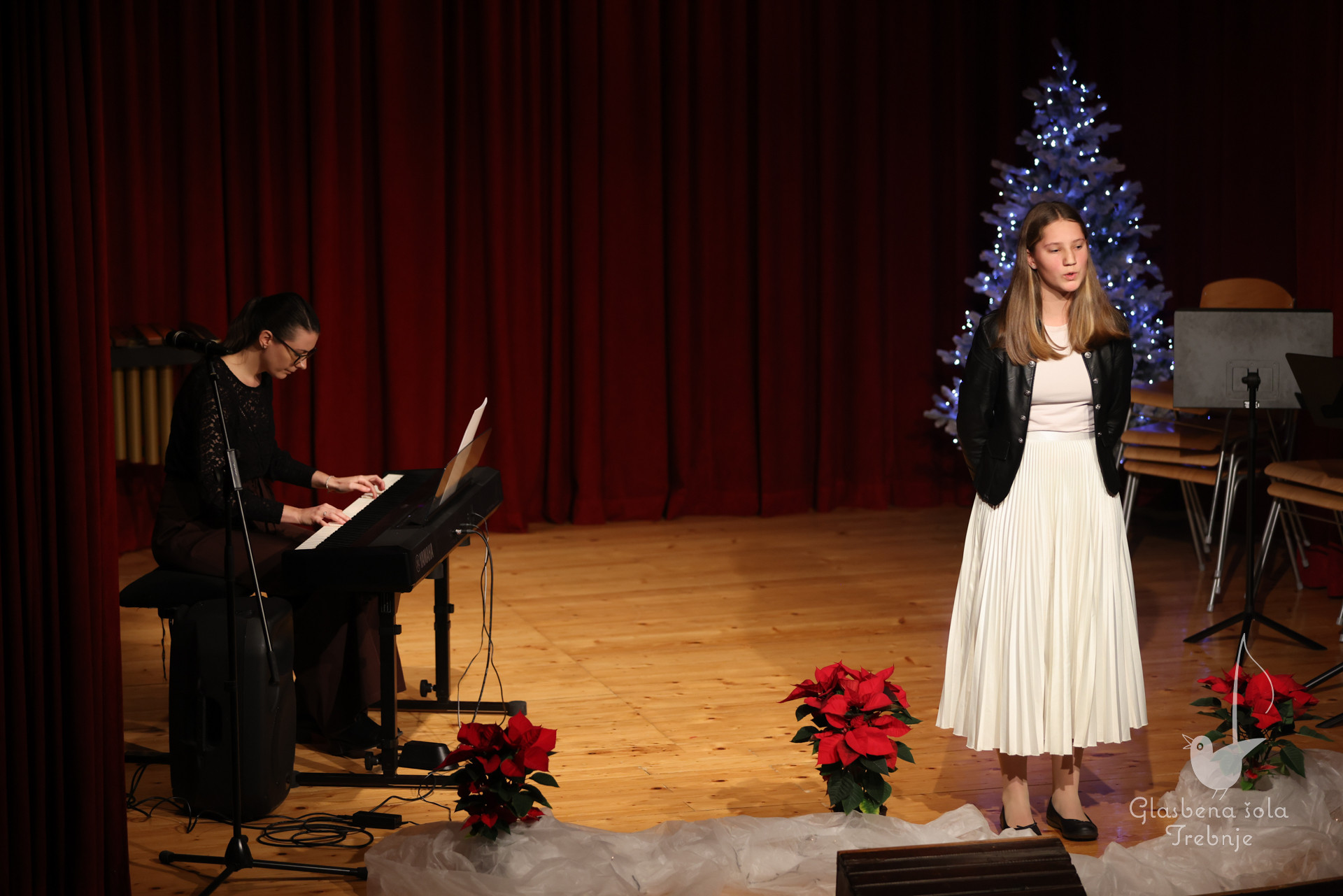 Prednovoletni koncert v Dobrniču