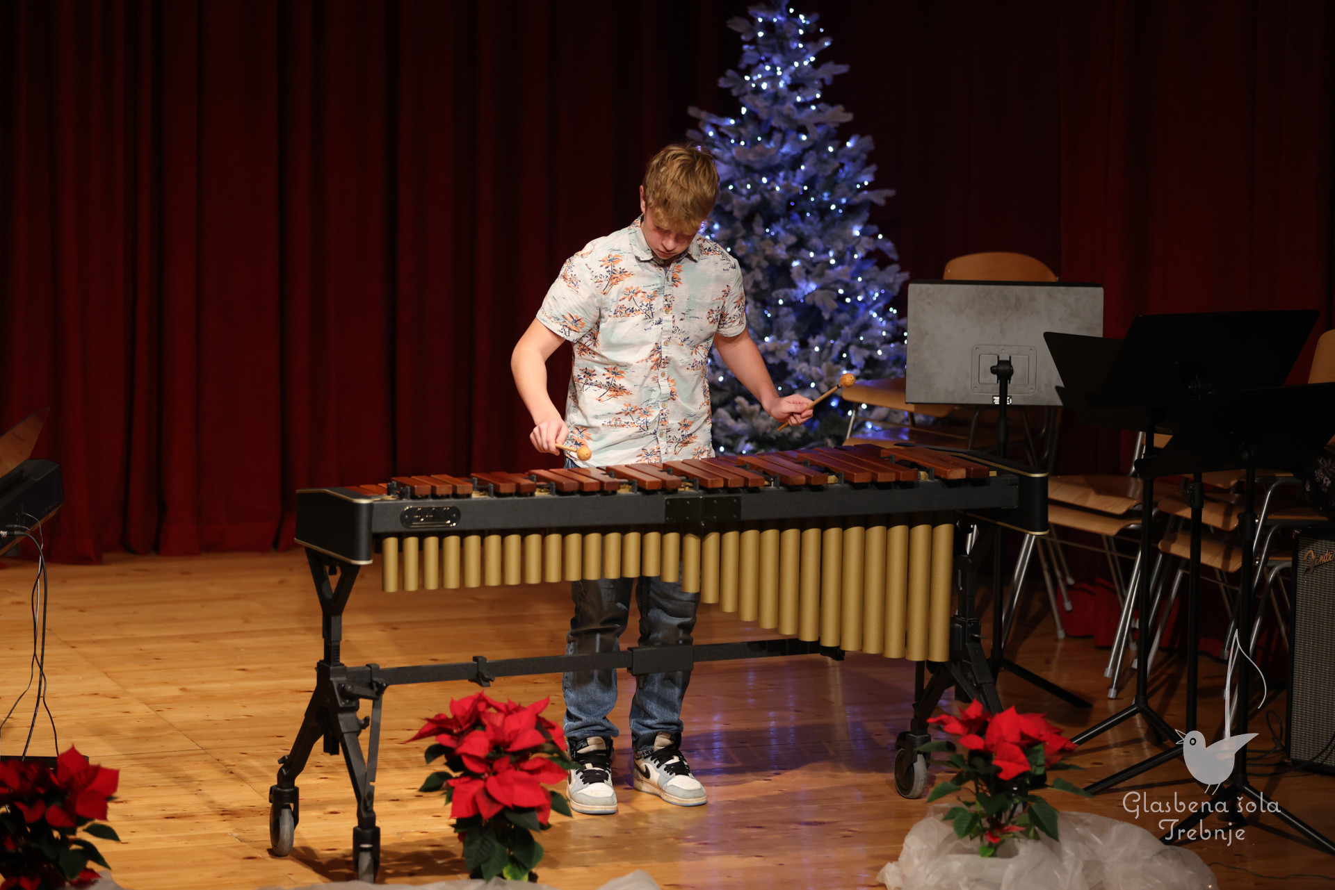 Prednovoletni koncert v Dobrniču