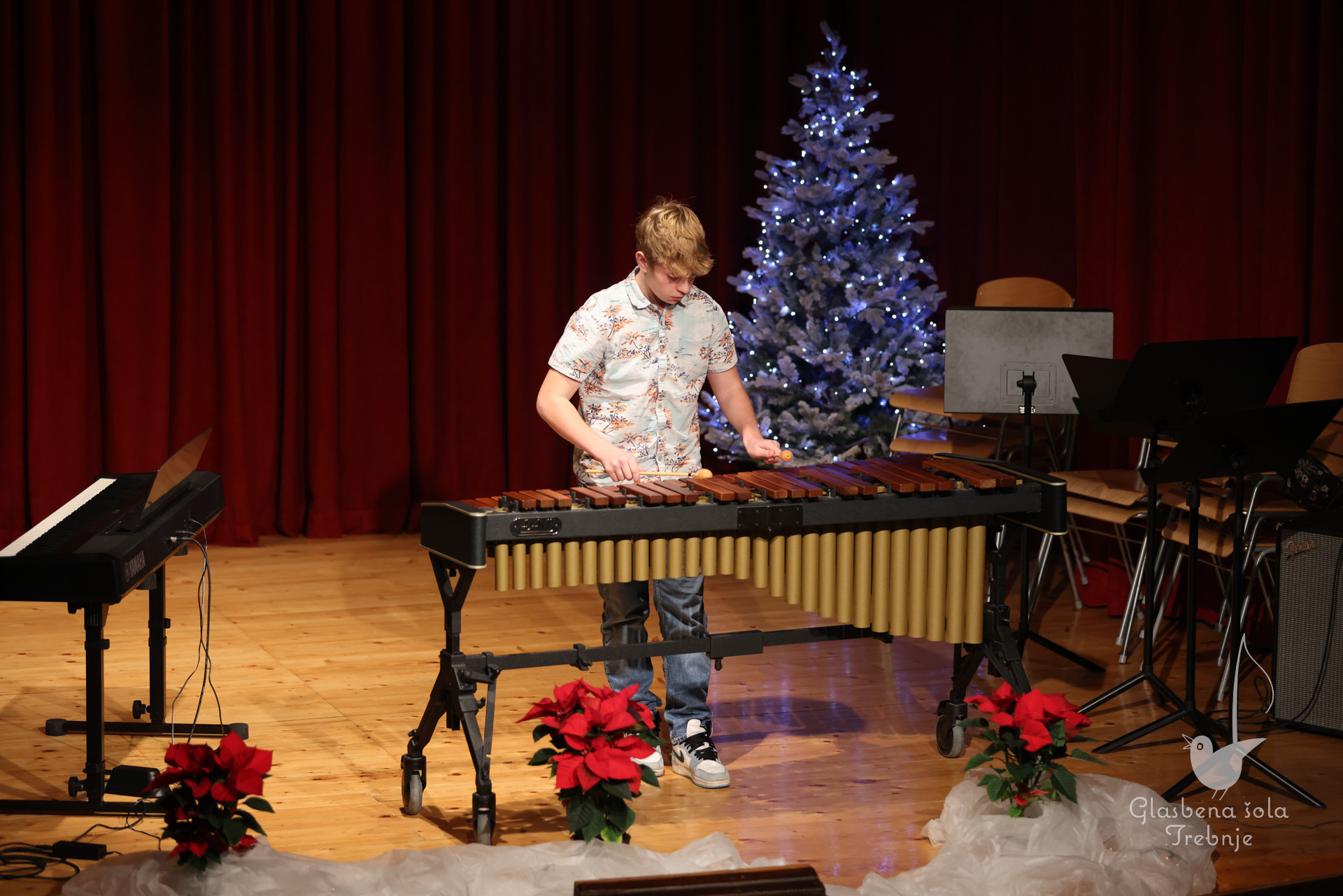 Prednovoletni koncert v Dobrniču