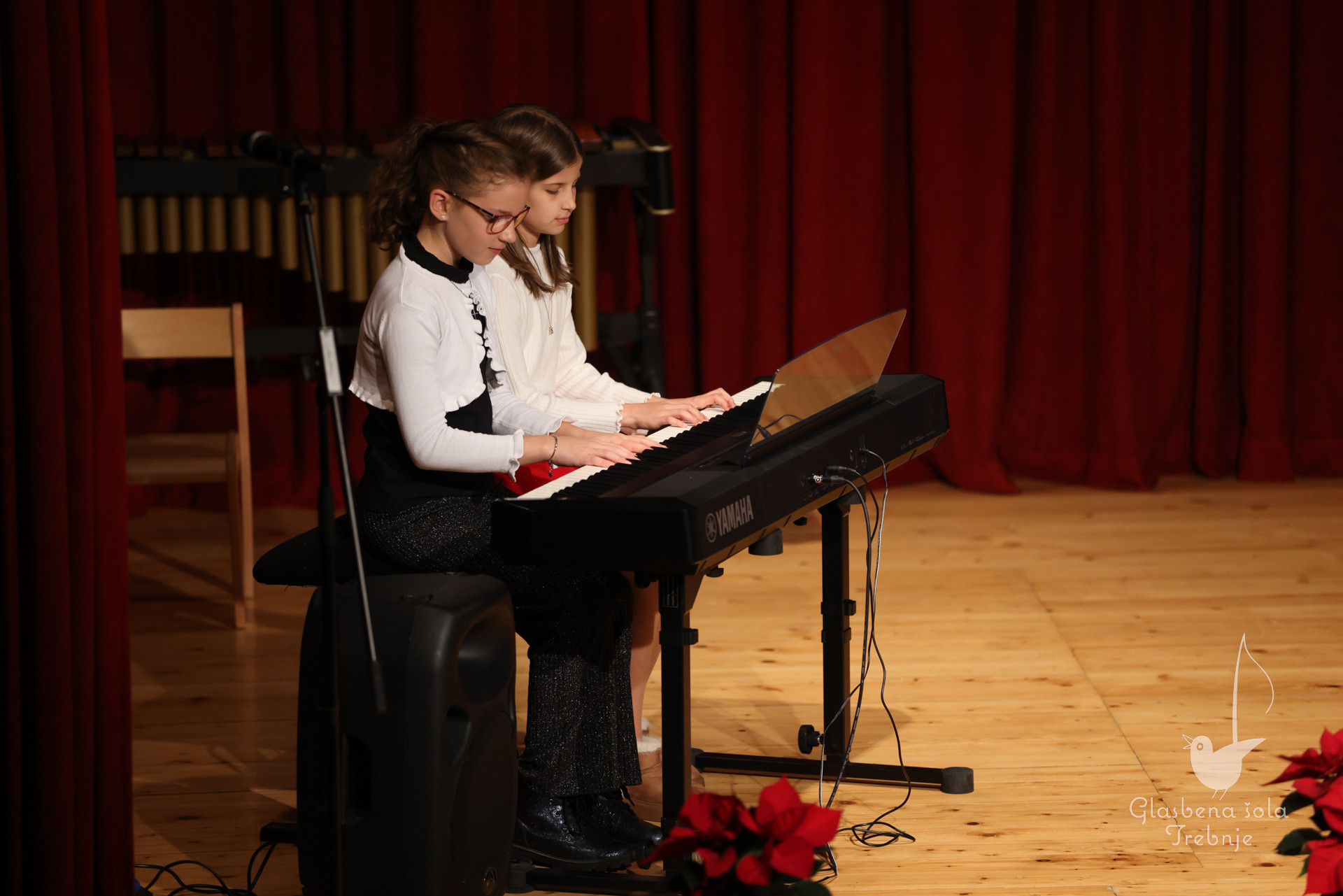 Prednovoletni koncert v Dobrniču