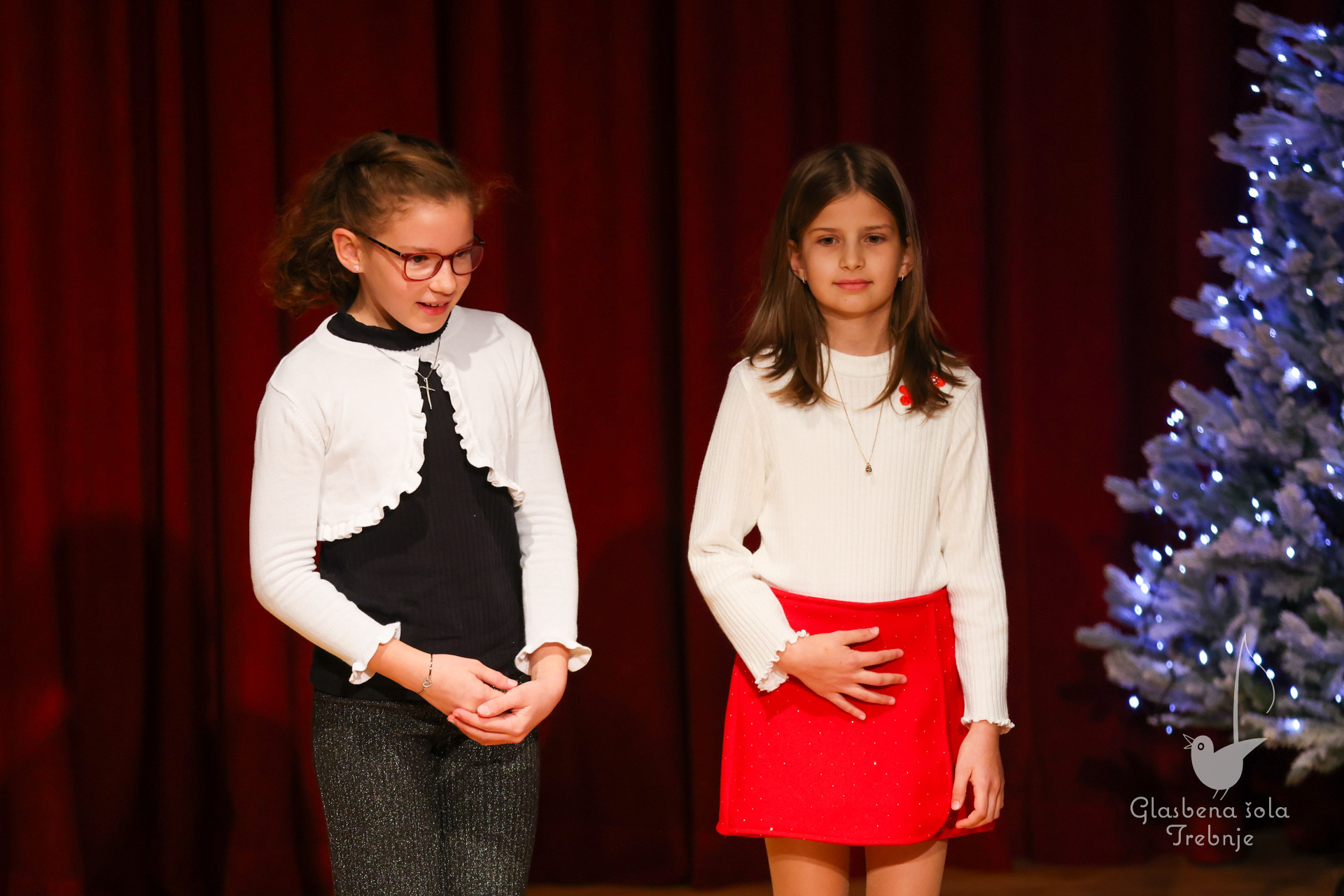 Prednovoletni koncert v Dobrniču