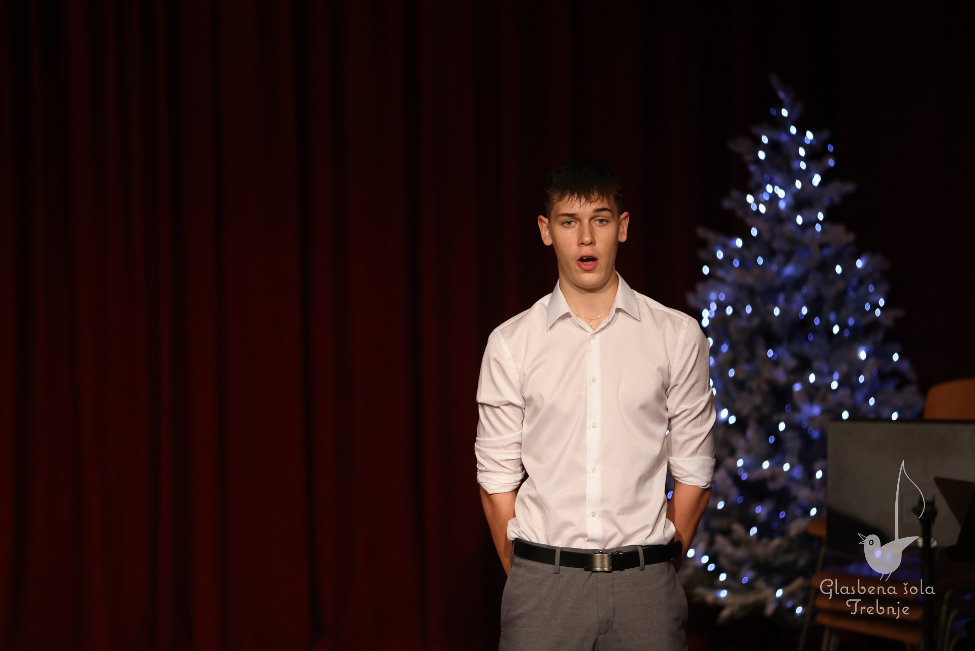 Prednovoletni koncert v Dobrniču