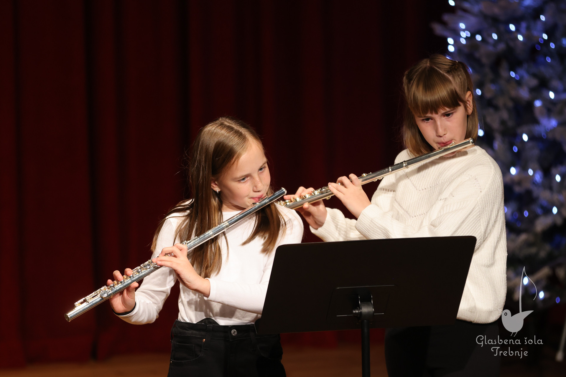 Prednovoletni koncert v Dobrniču