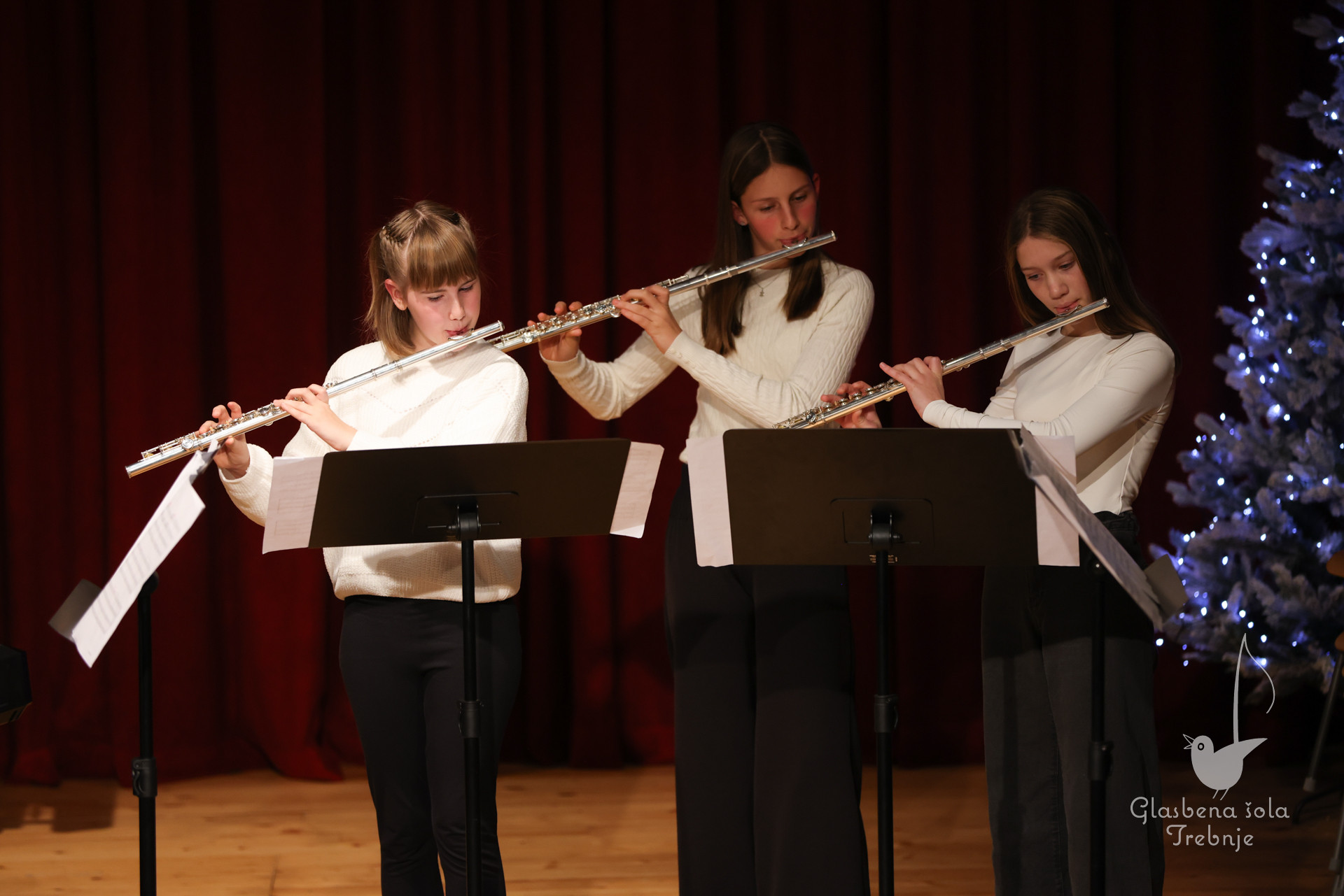 Prednovoletni koncert v Dobrniču