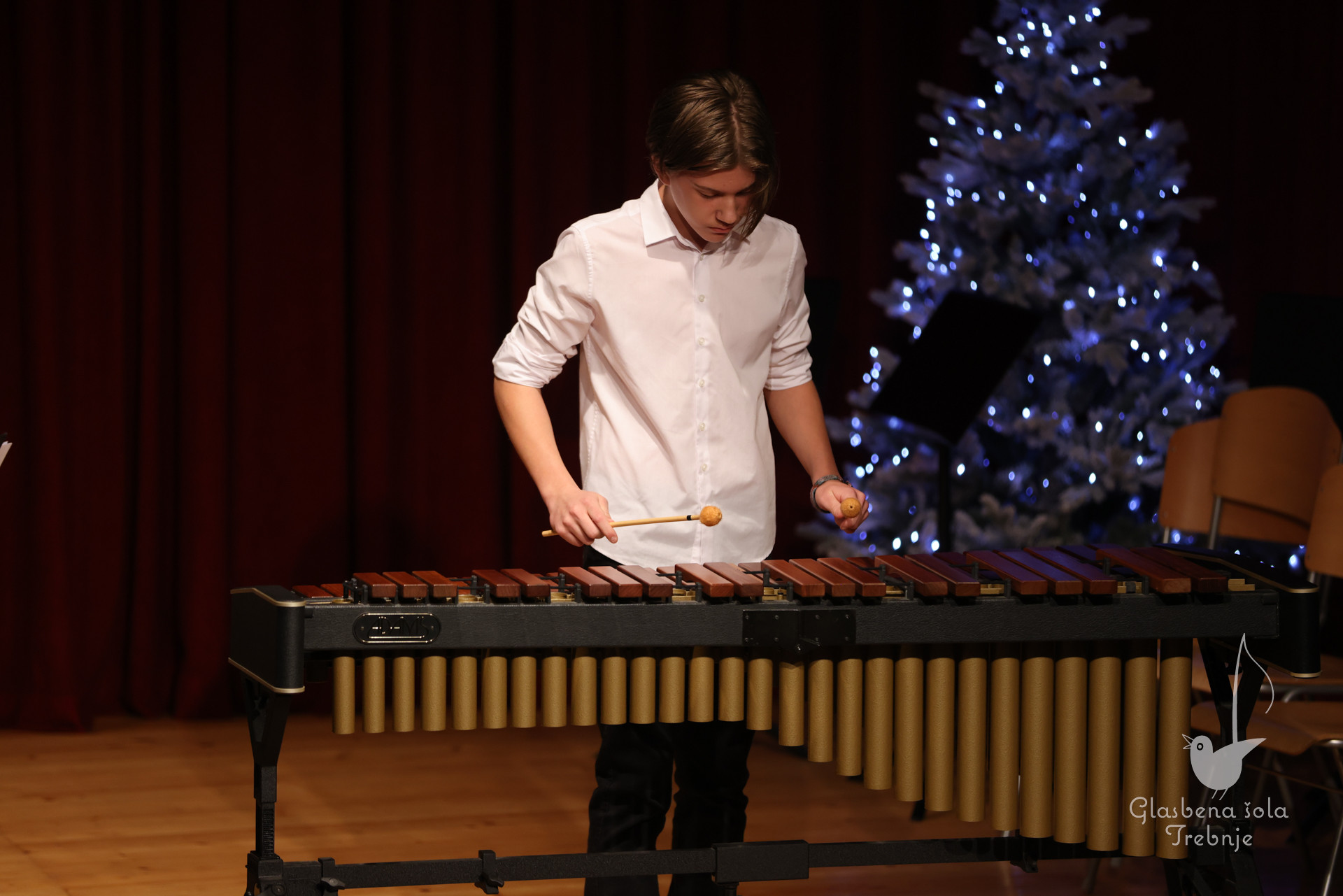 Prednovoletni koncert v Dobrniču