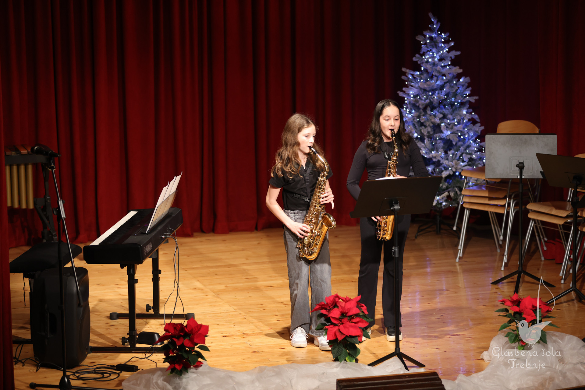 Prednovoletni koncert v Dobrniču