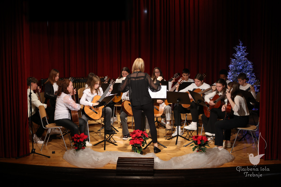 Prednovoletni koncert v Dobrniču