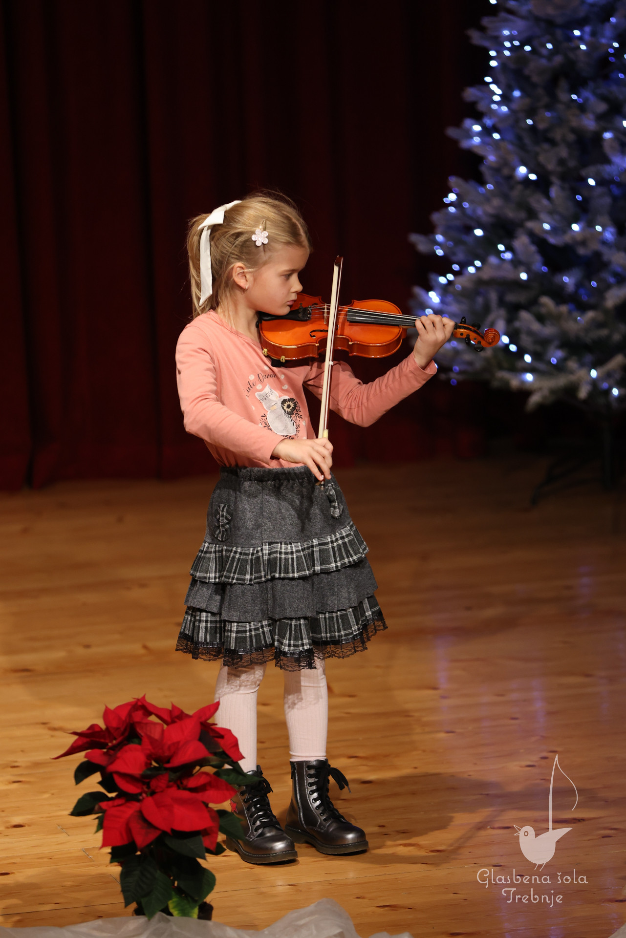 Prednovoletni koncert v Dobrniču