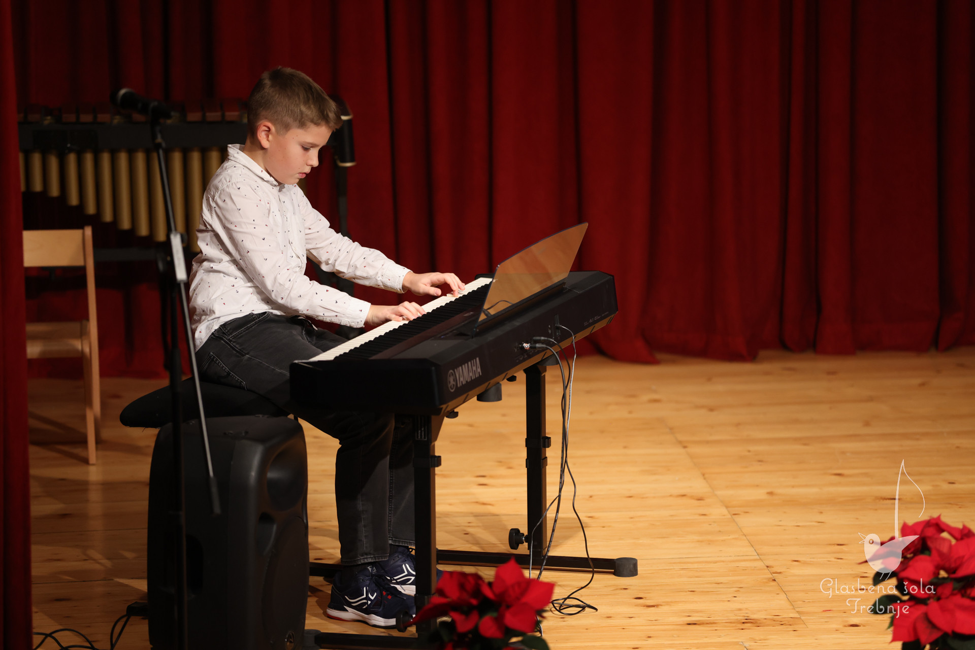 Prednovoletni koncert v Dobrniču