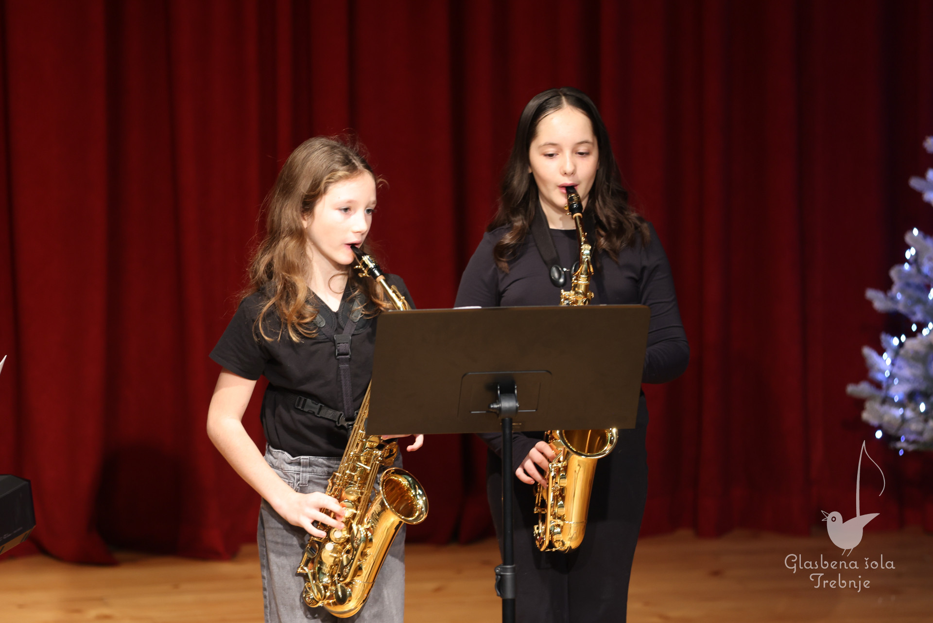 Prednovoletni koncert v Dobrniču