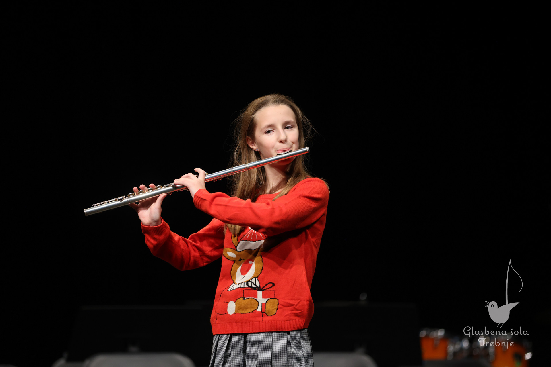 Prednovoletni koncert v Mokronogu