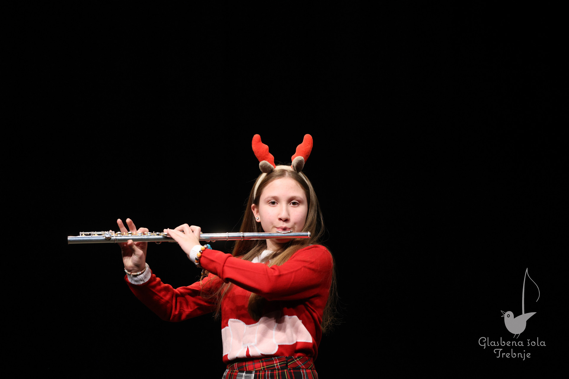 Prednovoletni koncert v Mokronogu