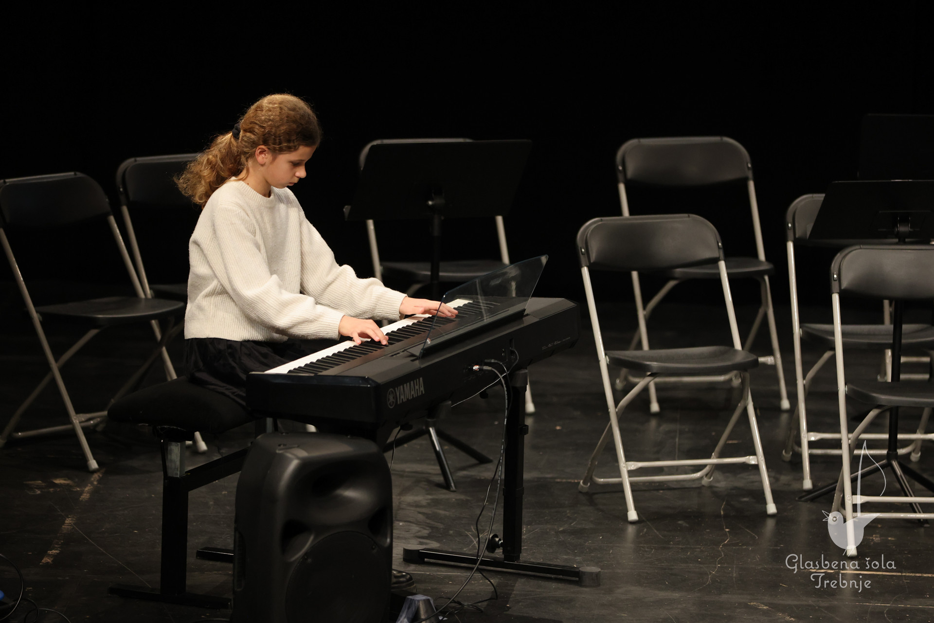 Prednovoletni koncert v Mokronogu