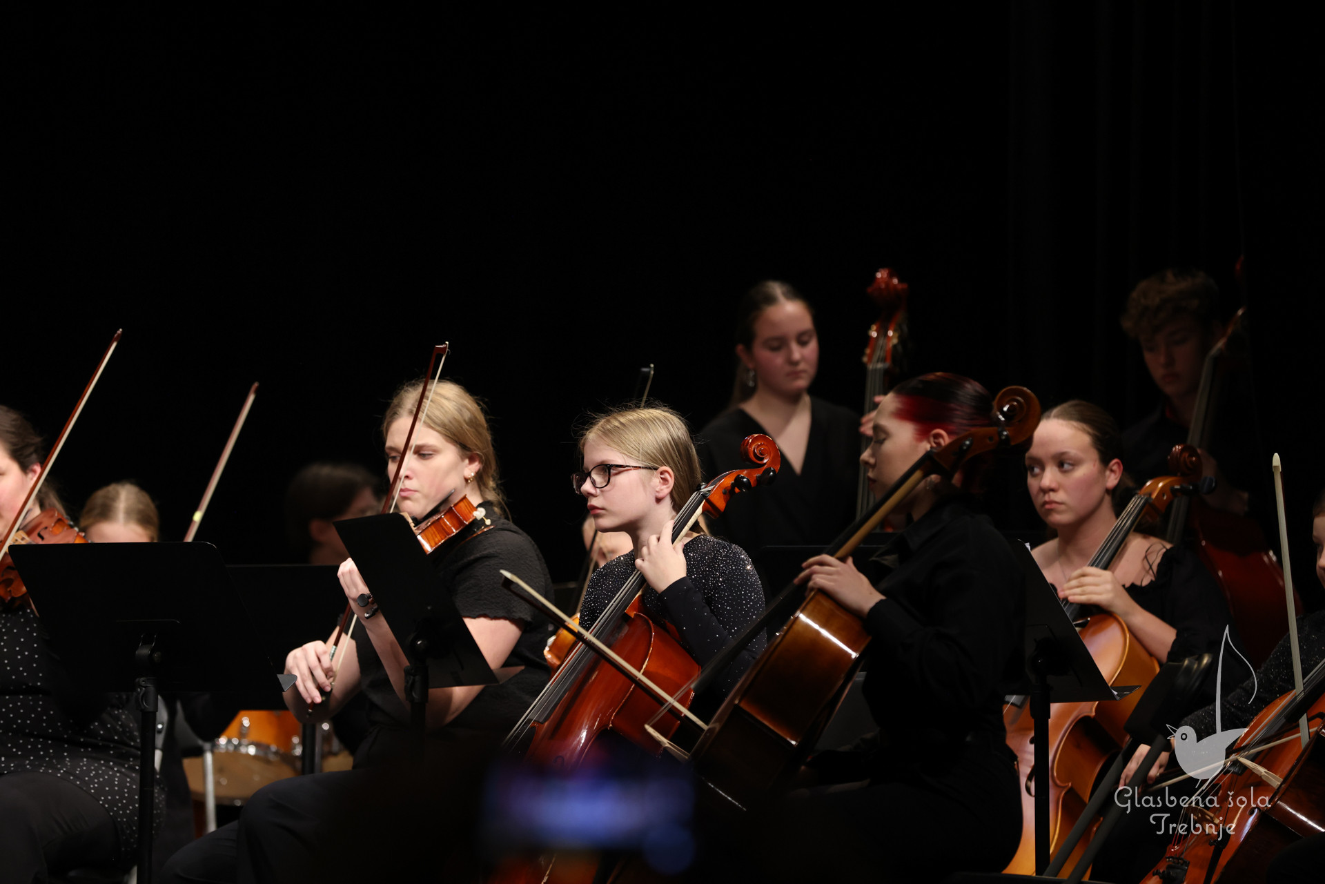 Prednovoletni koncert v Mokronogu