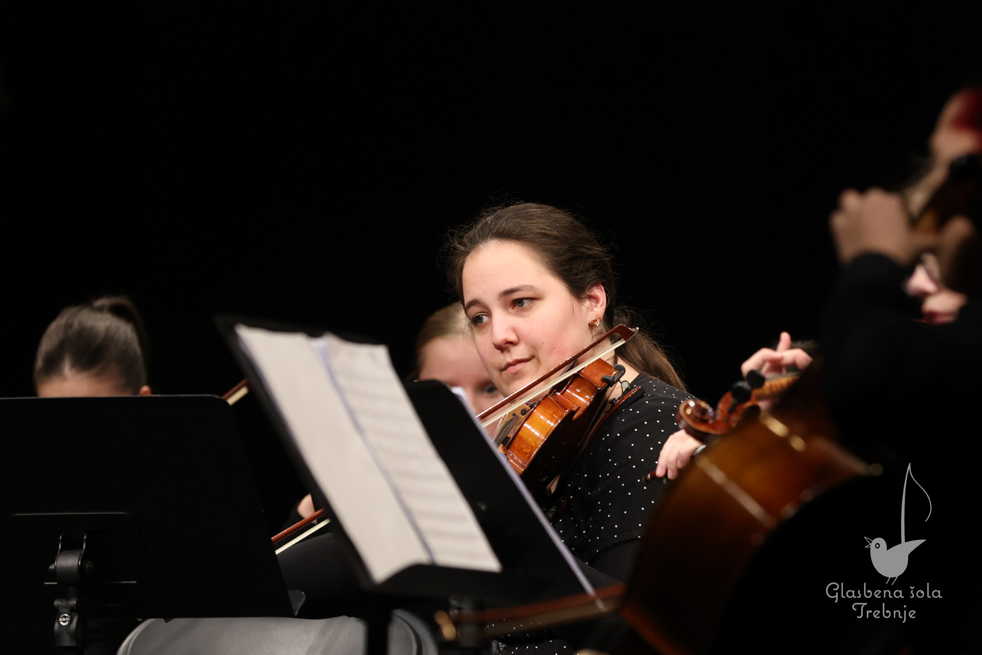 Prednovoletni koncert v Mokronogu