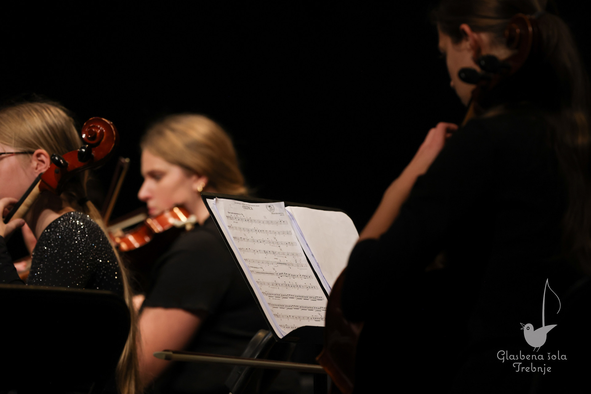 Prednovoletni koncert v Mokronogu