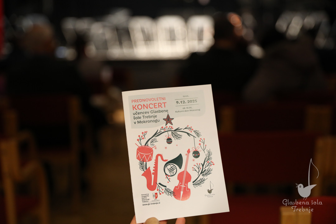 Prednovoletni koncert v Mokronogu