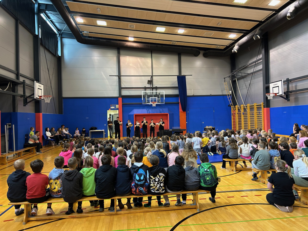 Predstavitev inštrumentov na OŠ Mirna in na PŠ Dolenja Nemška vas