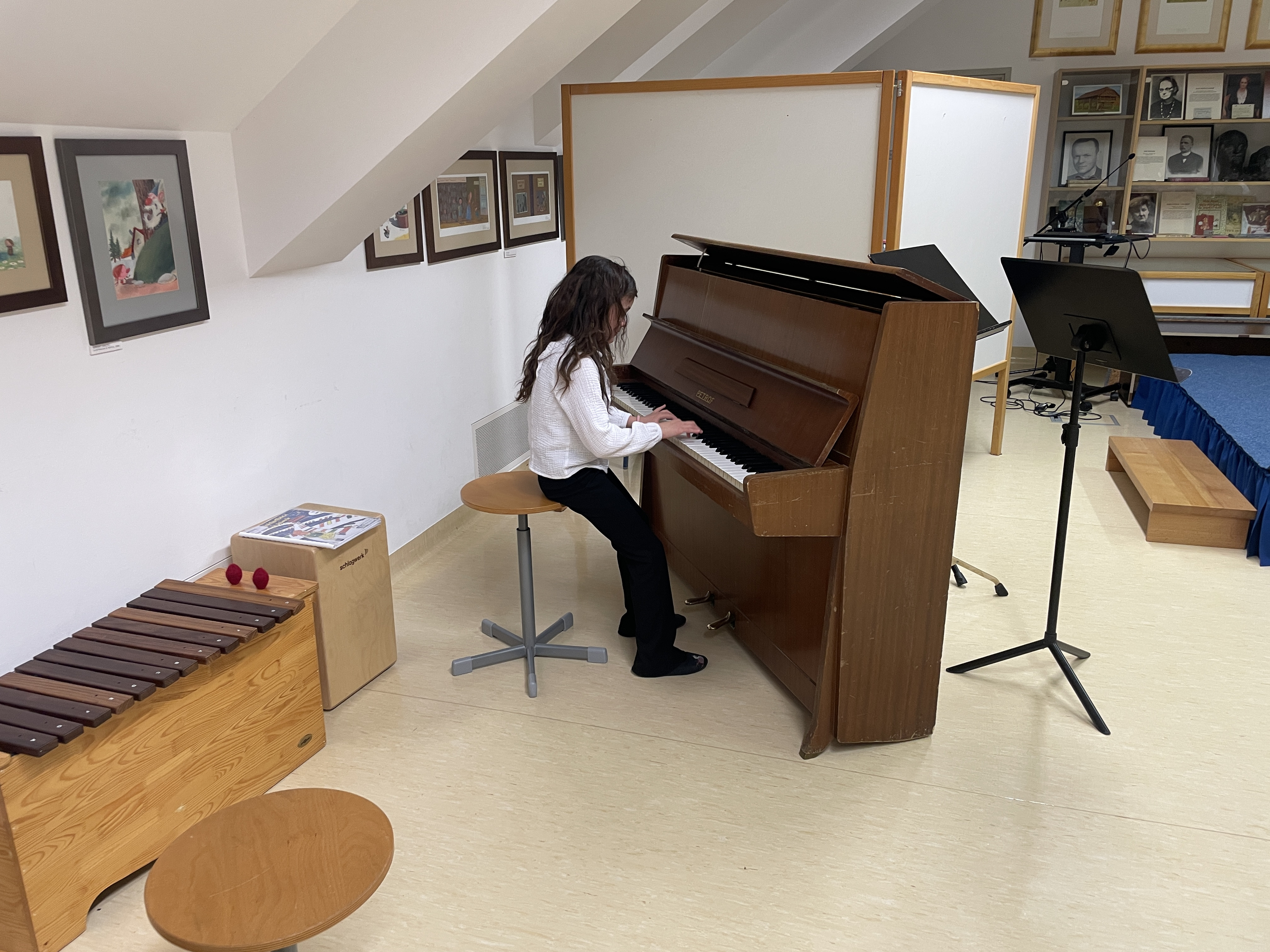 Predstavitve instrumentov na Osnovni šoli dr. Pavla Lunačka Šentrupert in Osnovni šoli Mirna