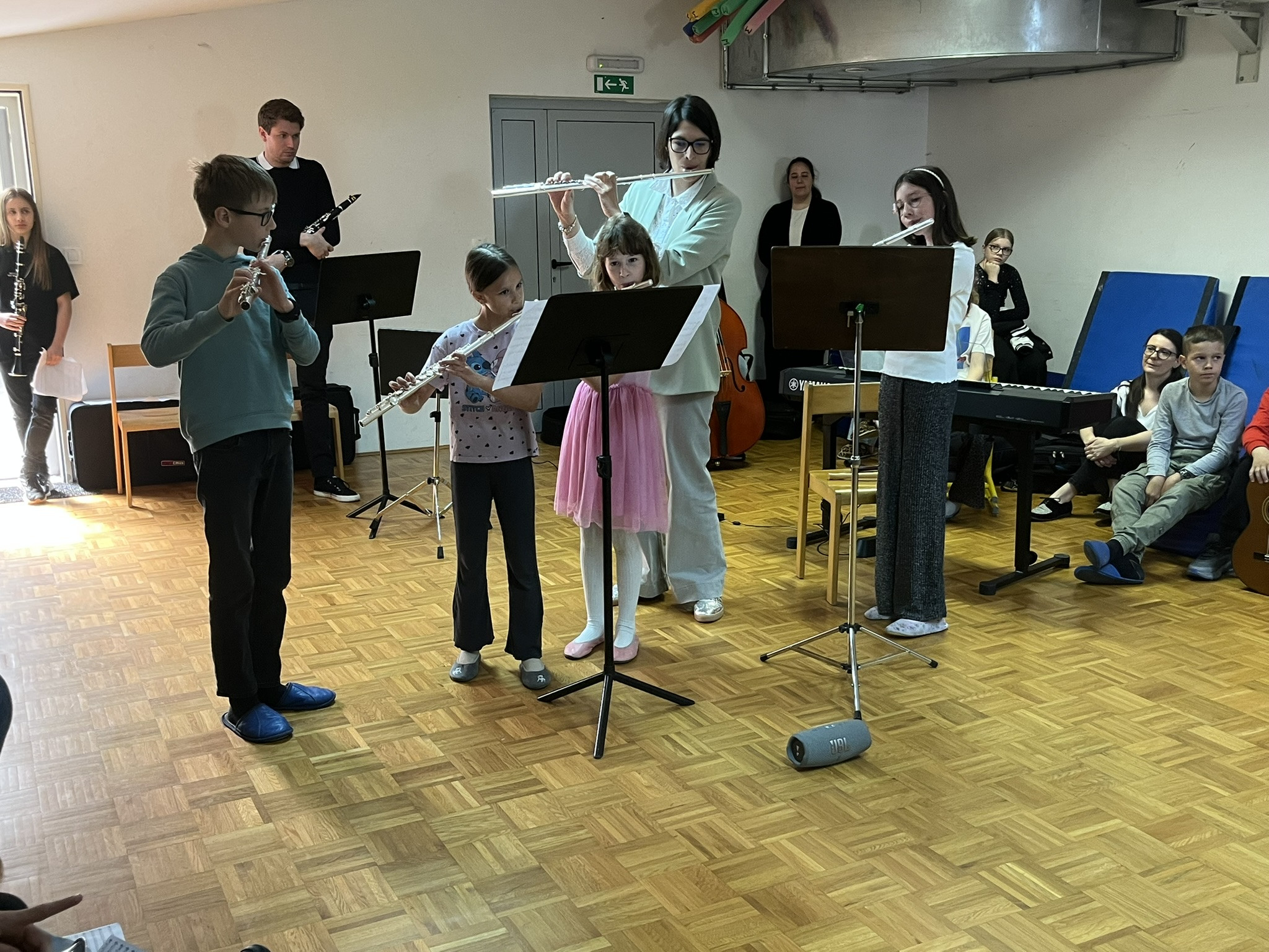 Predstavitve instrumentov na Osnovni šoli dr. Pavla Lunačka Šentrupert in Osnovni šoli Mirna