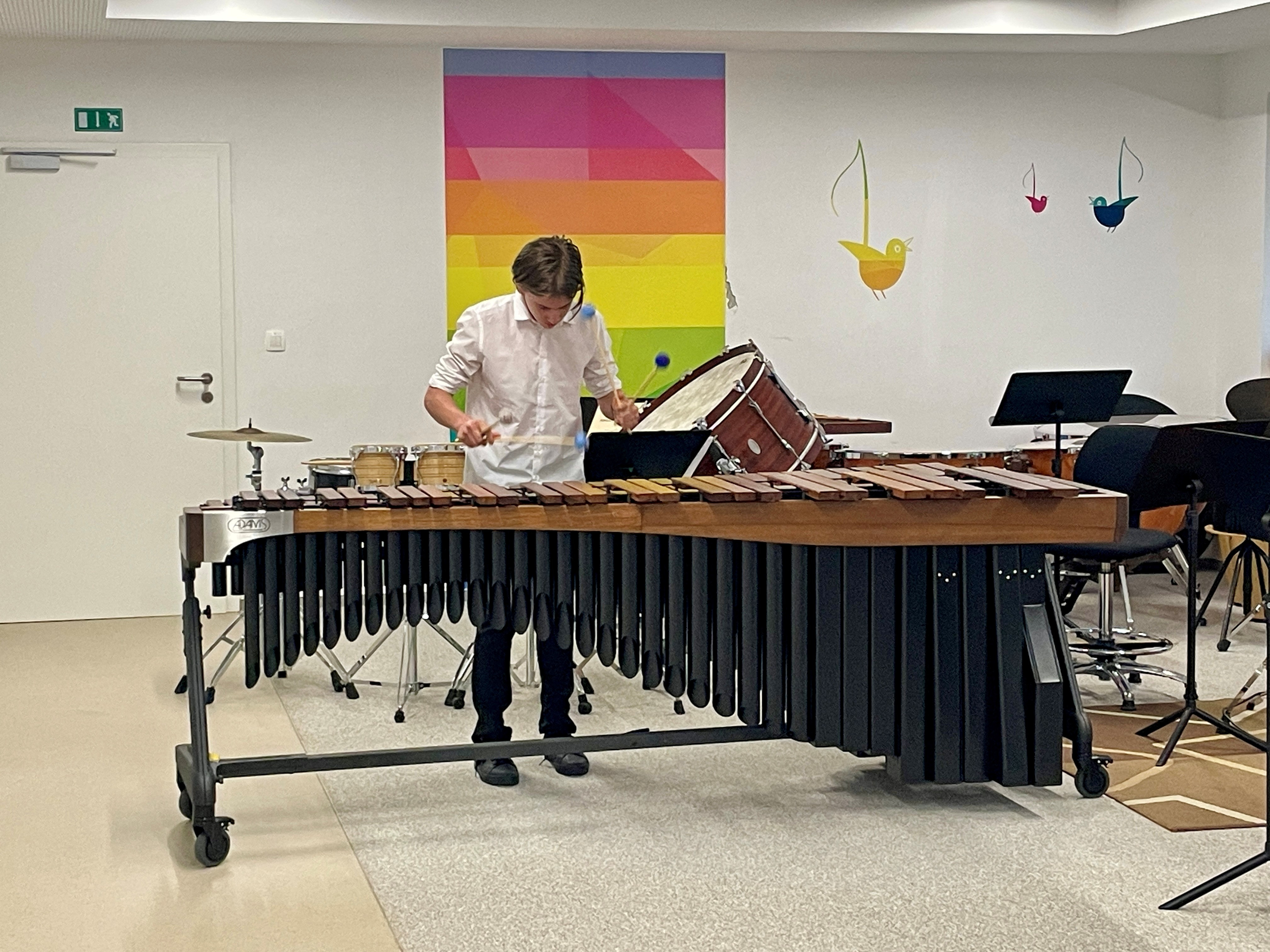 Predtekmovalni nastop udeležencev tekmovanja Bolero