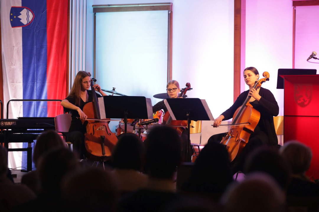 Proslava občin Mirna, Mokronog - Trebelno, Šentrupert in Trebnje