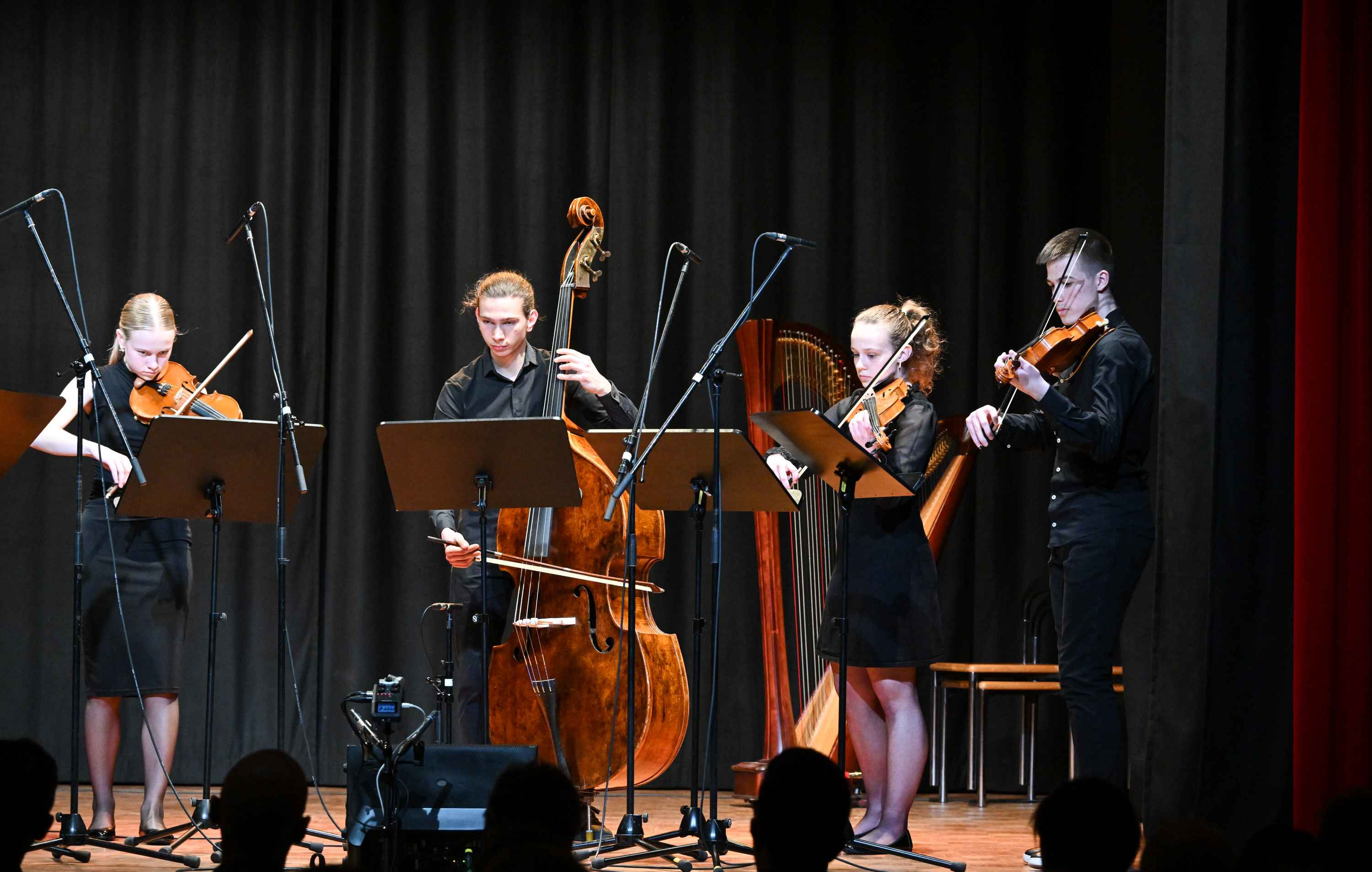 Revija glasbenih šol Dolenjske, Bele krajine in Posavja