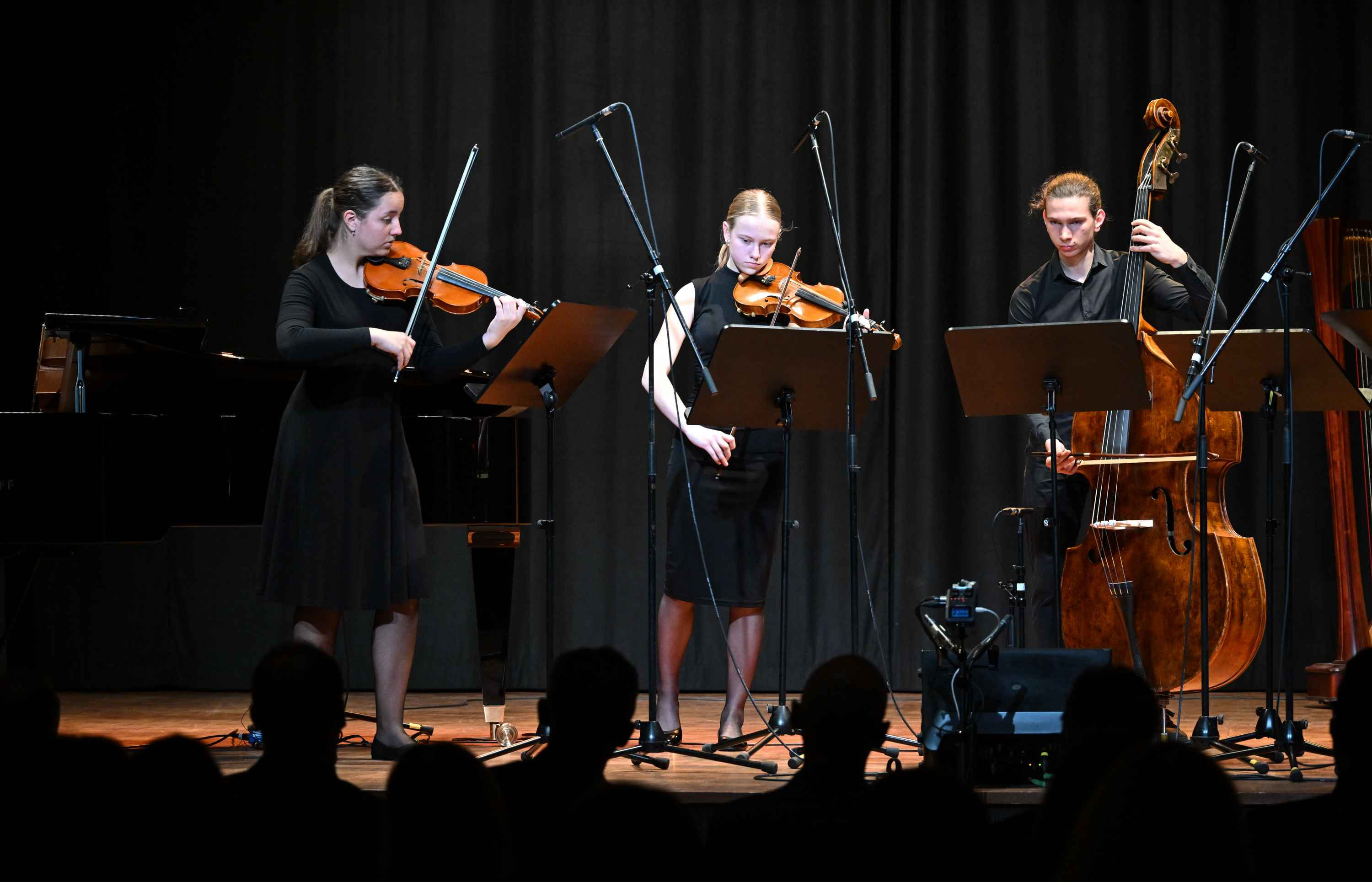 Revija glasbenih šol Dolenjske, Bele krajine in Posavja