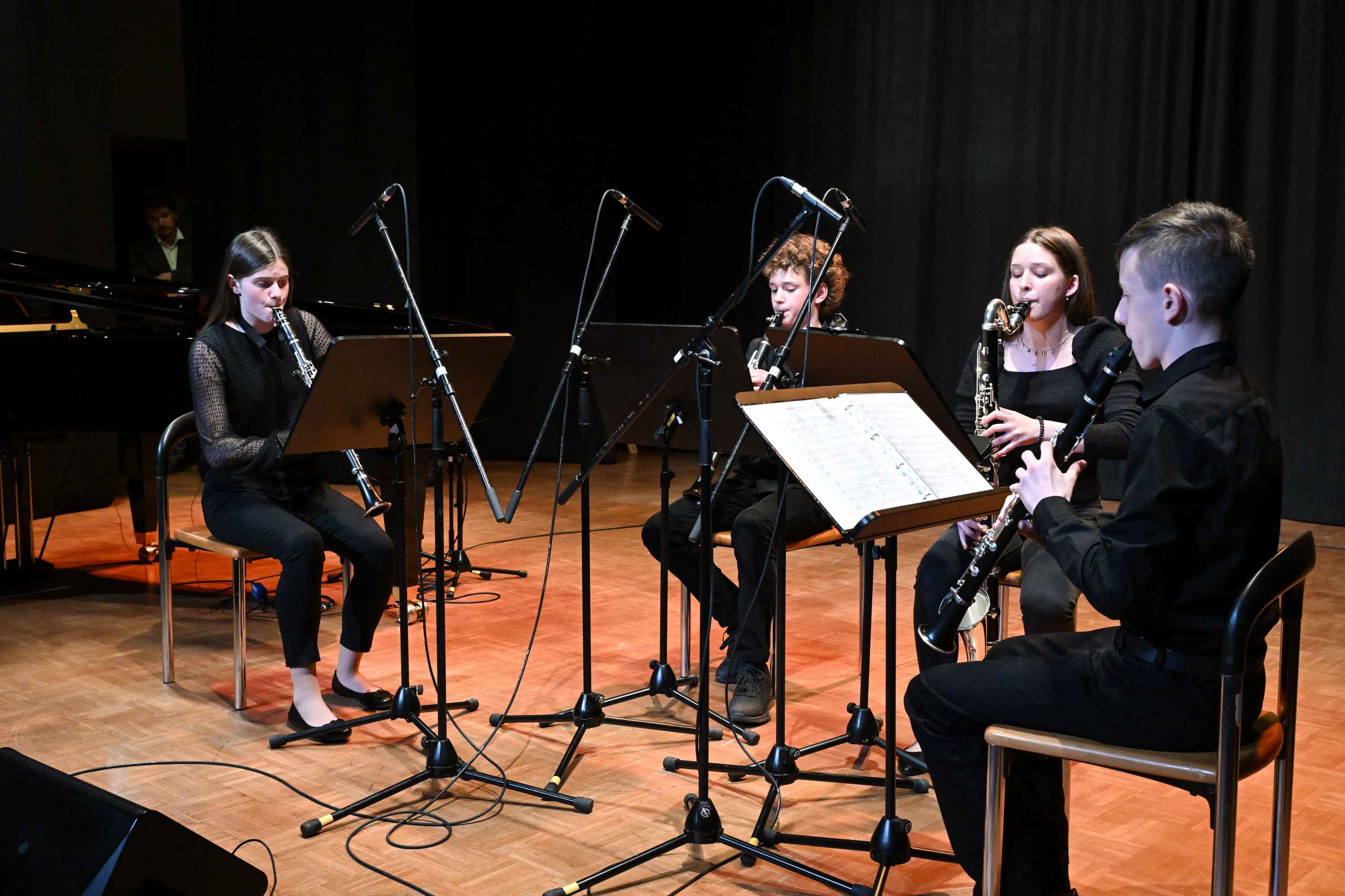 Revija glasbenih šol Dolenjske, Bele krajine in Posavja