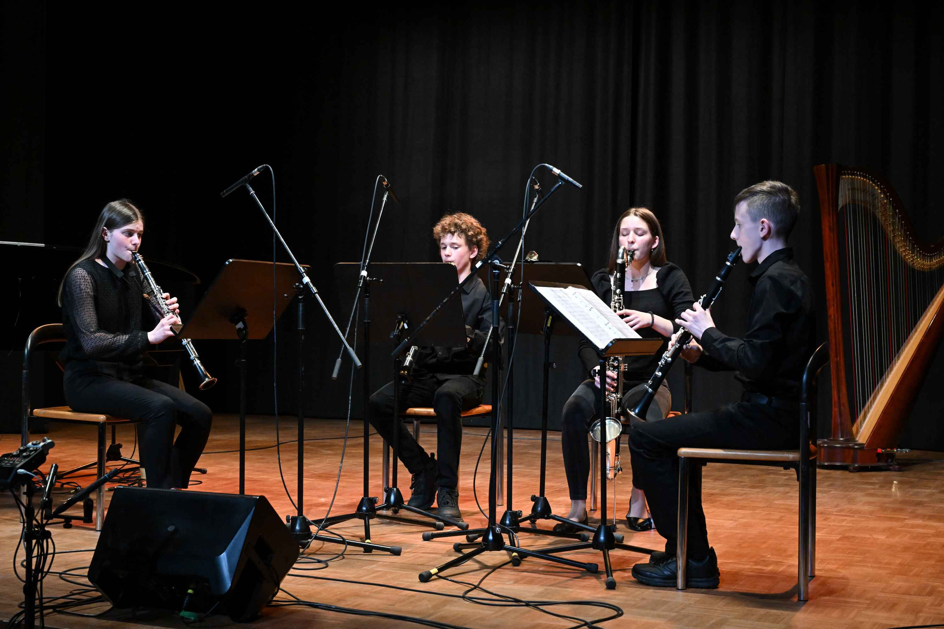 Revija glasbenih šol Dolenjske, Bele krajine in Posavja