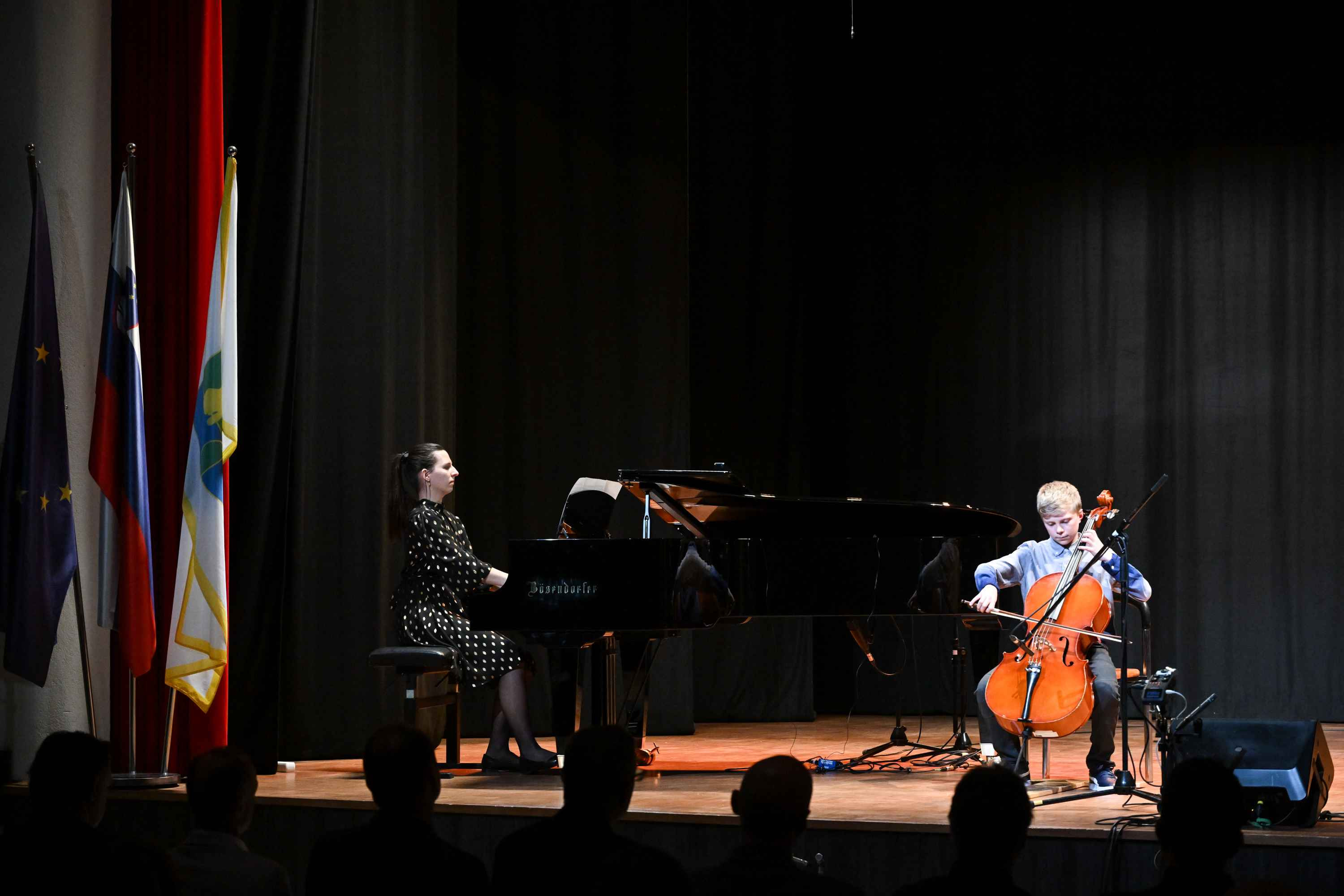 Revija glasbenih šol Dolenjske, Bele krajine in Posavja