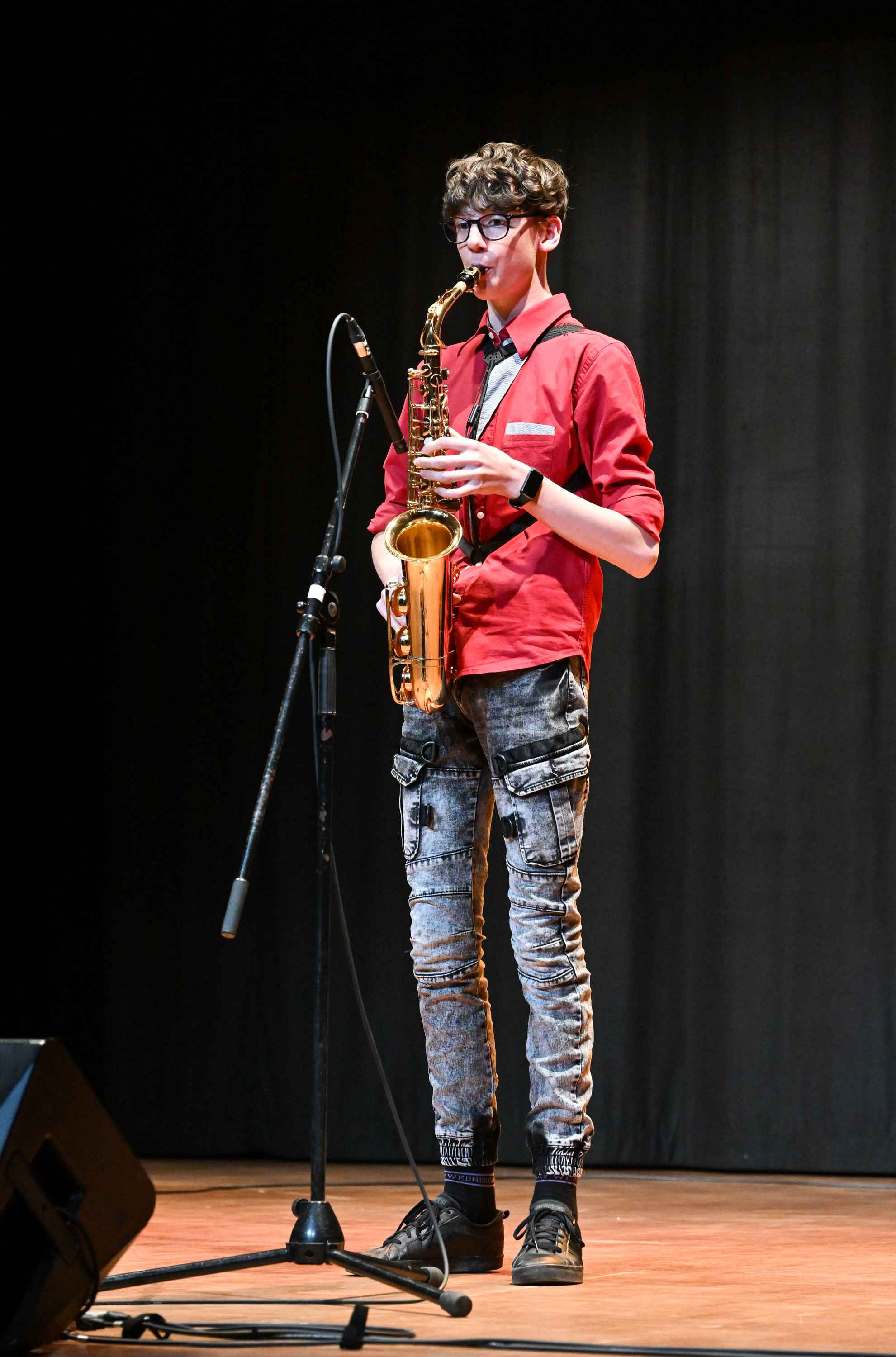 Revija glasbenih šol Dolenjske, Bele krajine in Posavja