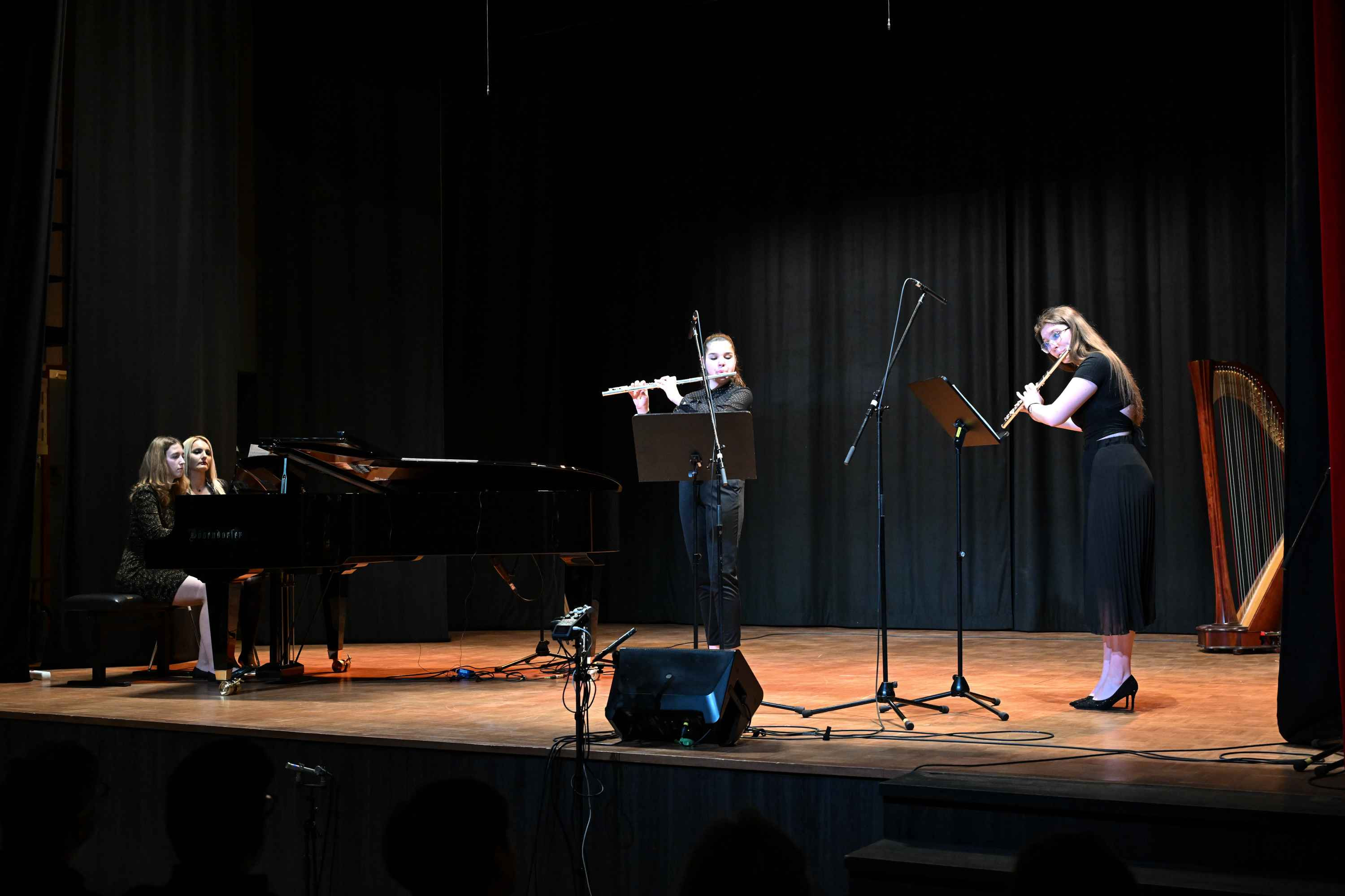 Revija glasbenih šol Dolenjske, Bele krajine in Posavja