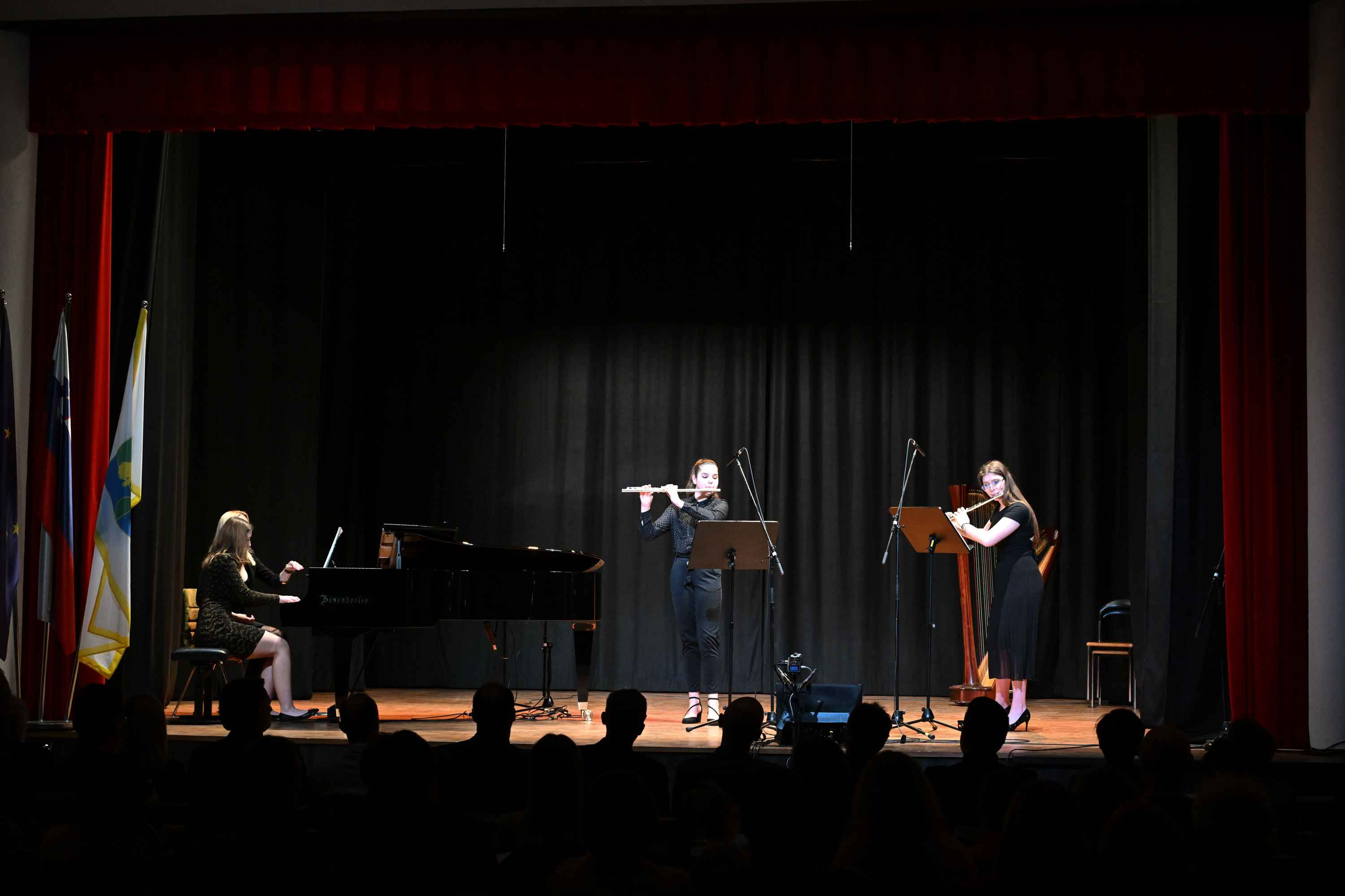 Revija glasbenih šol Dolenjske, Bele krajine in Posavja