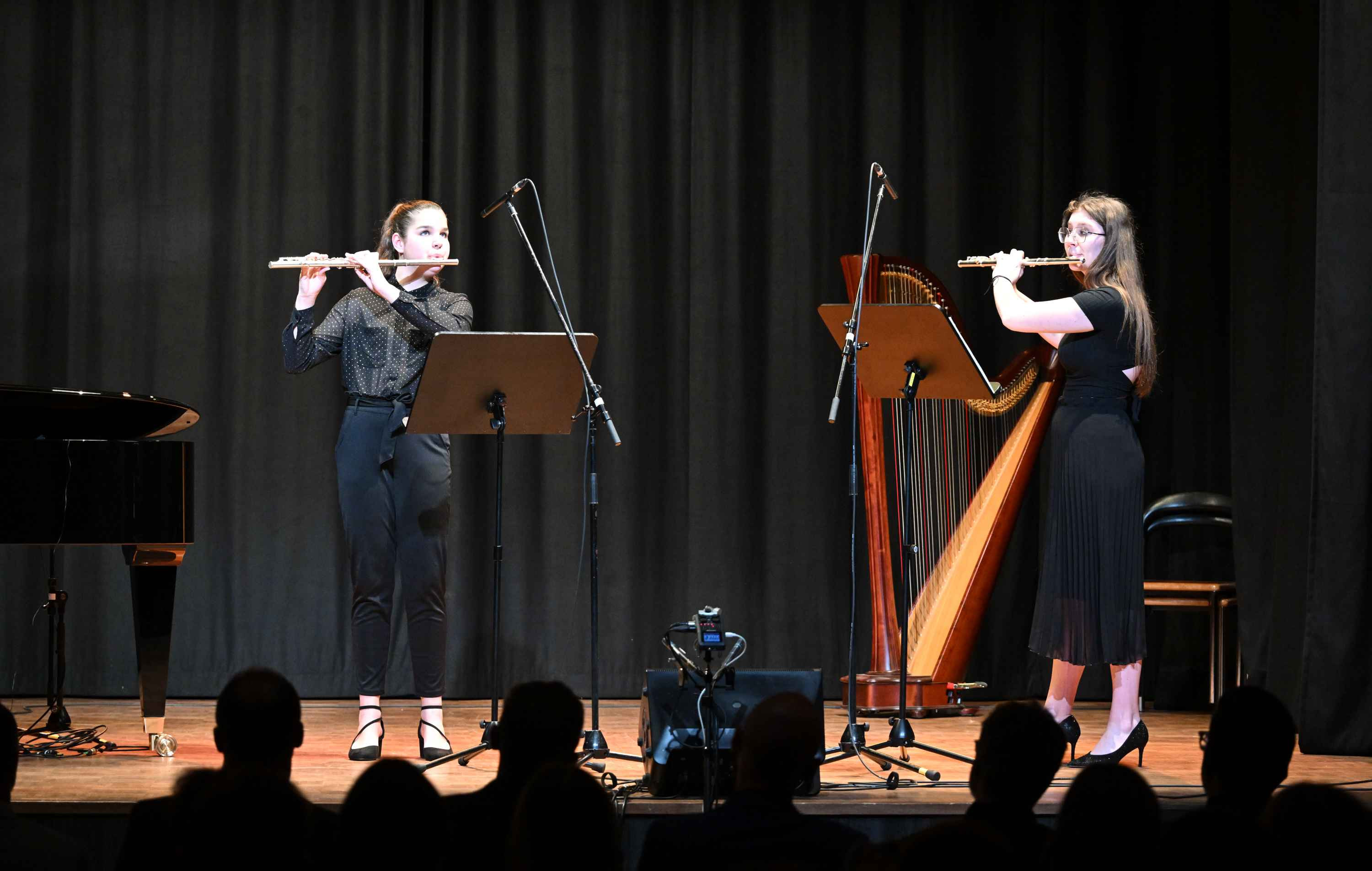 Revija glasbenih šol Dolenjske, Bele krajine in Posavja