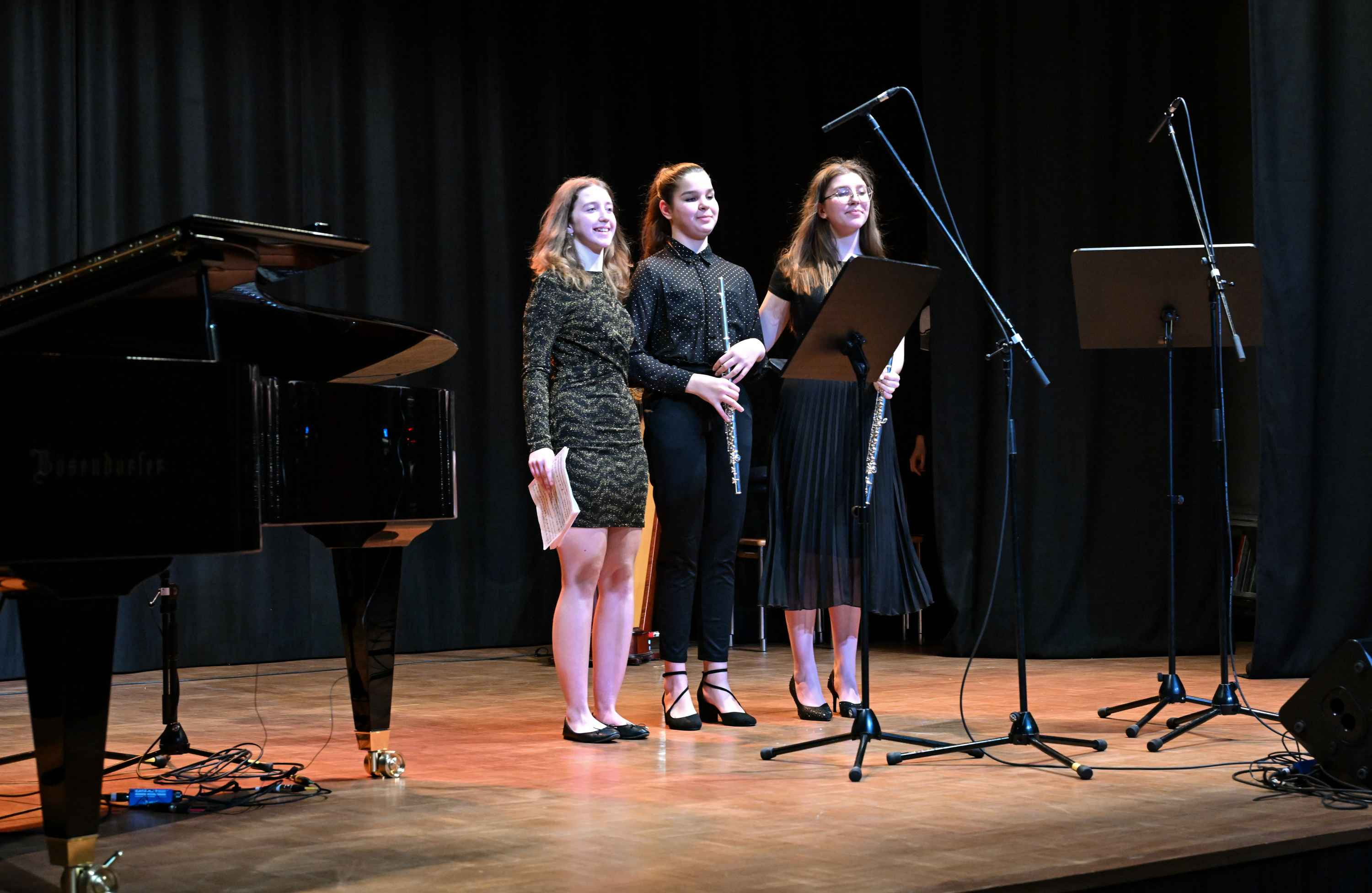 Revija glasbenih šol Dolenjske, Bele krajine in Posavja