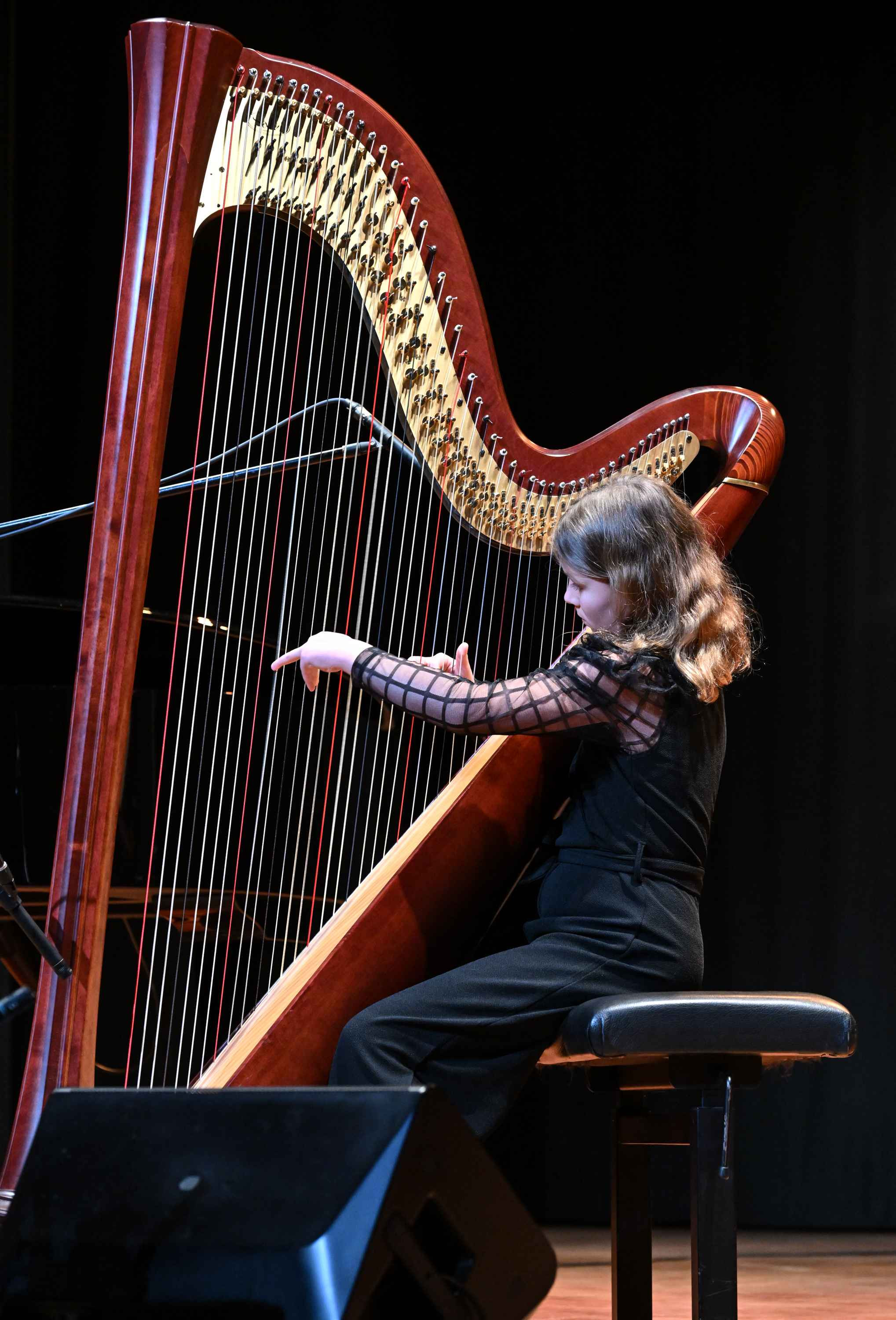 Revija glasbenih šol Dolenjske, Bele krajine in Posavja